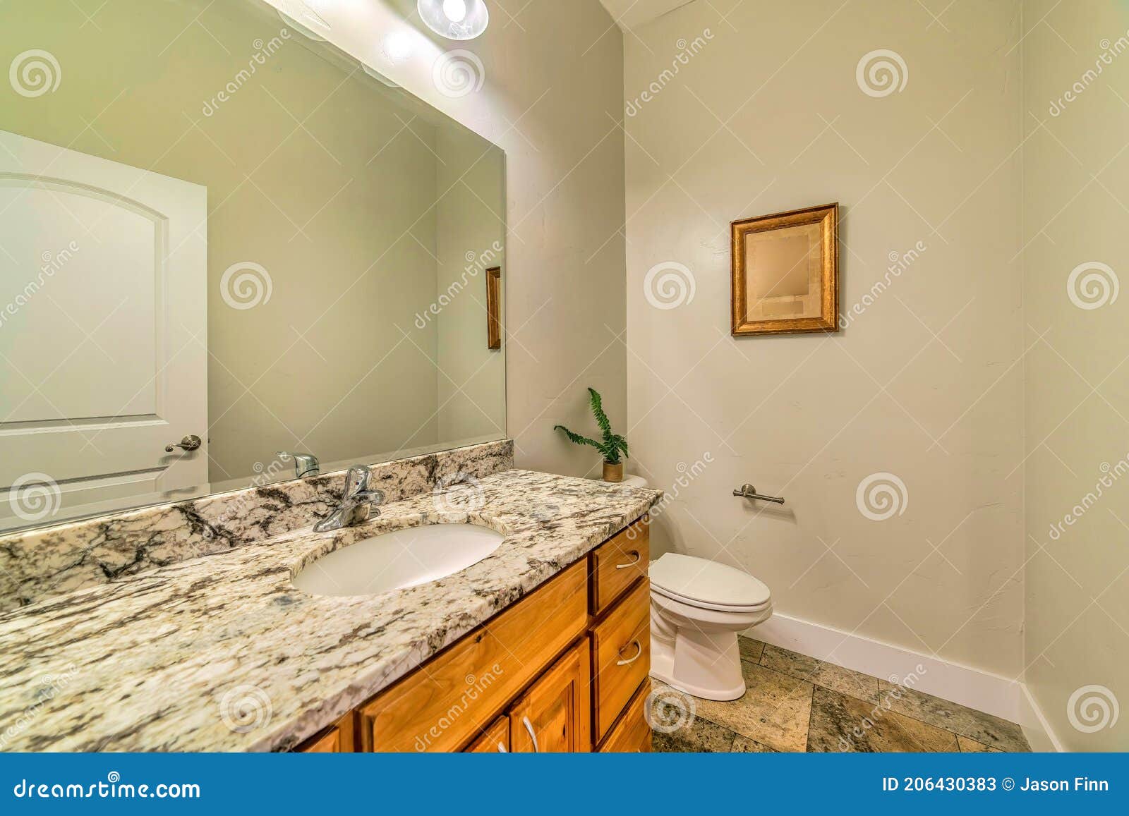 Hauptbadezimmer Mit Toilette Neben Marmorcountertop Mit Ablagen