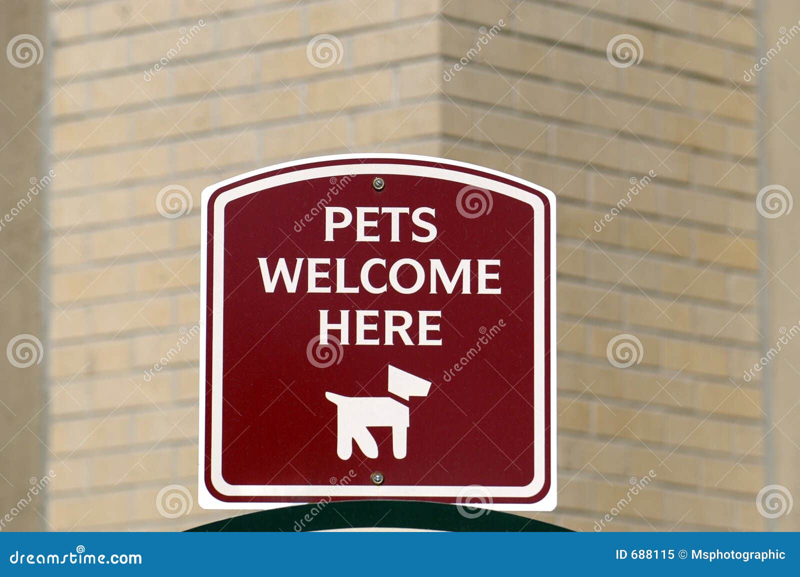 HaustierZeichen stockbild. Bild von katze, tiere, hund 688115