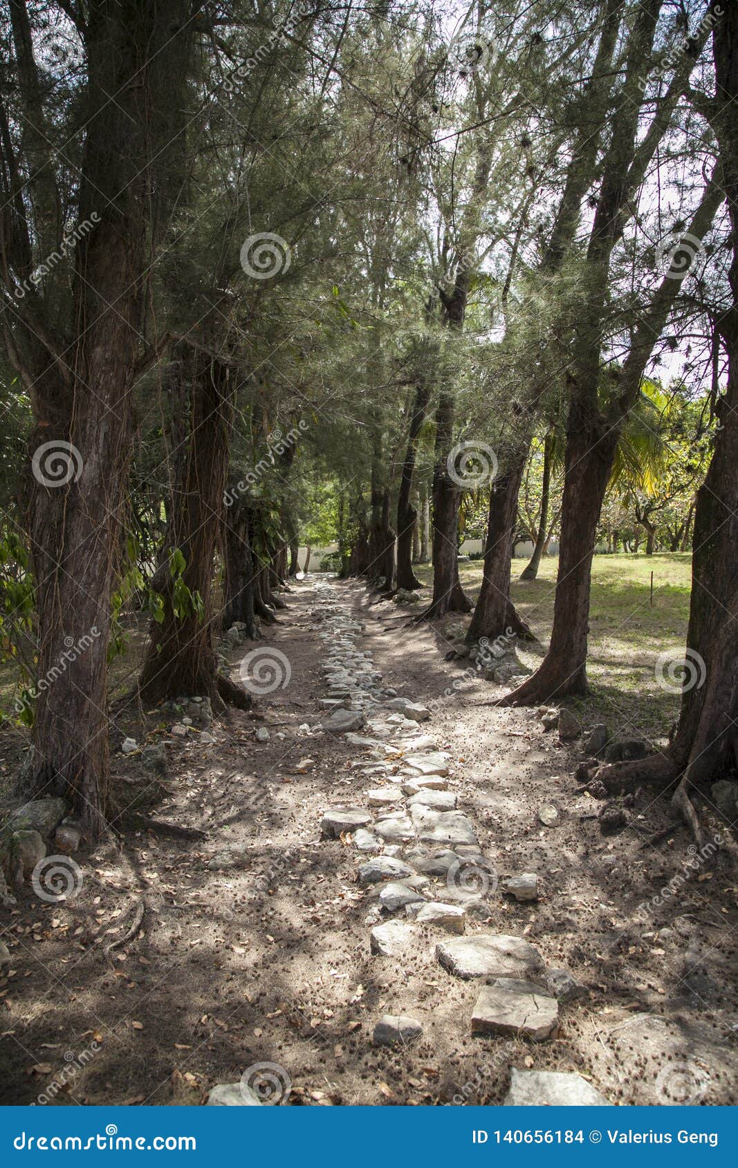 havana, cuba - 12 january 2013: the house of ernest hemingway, finca vigÃÂ­a in san francisco de paula