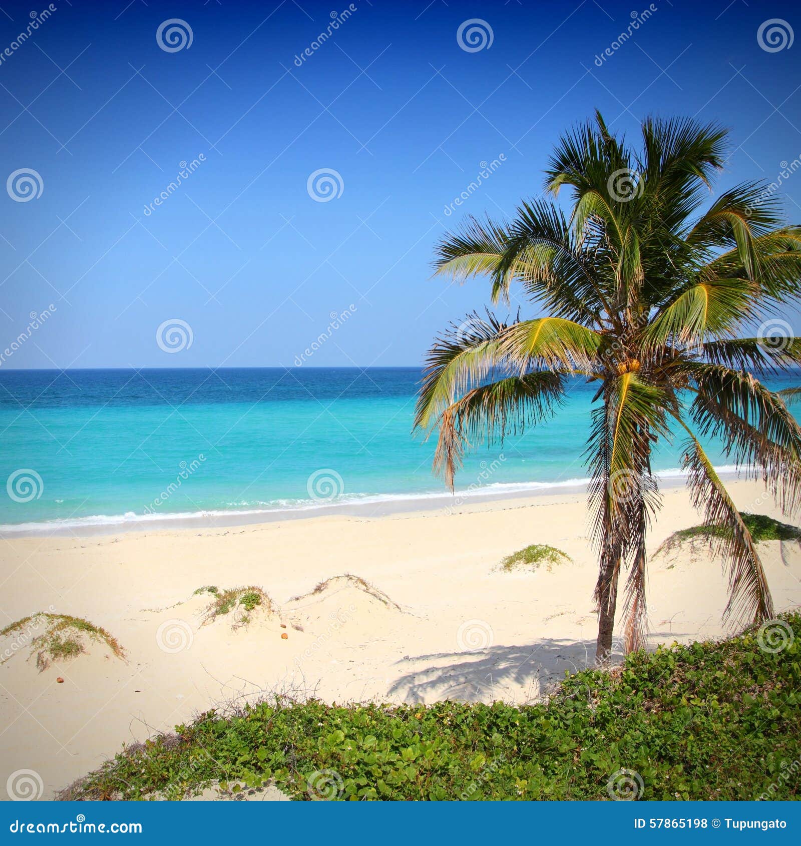 uklar gevinst valgfri 1,623 Havana Beach Photos - Free & Royalty-Free Stock Photos from Dreamstime