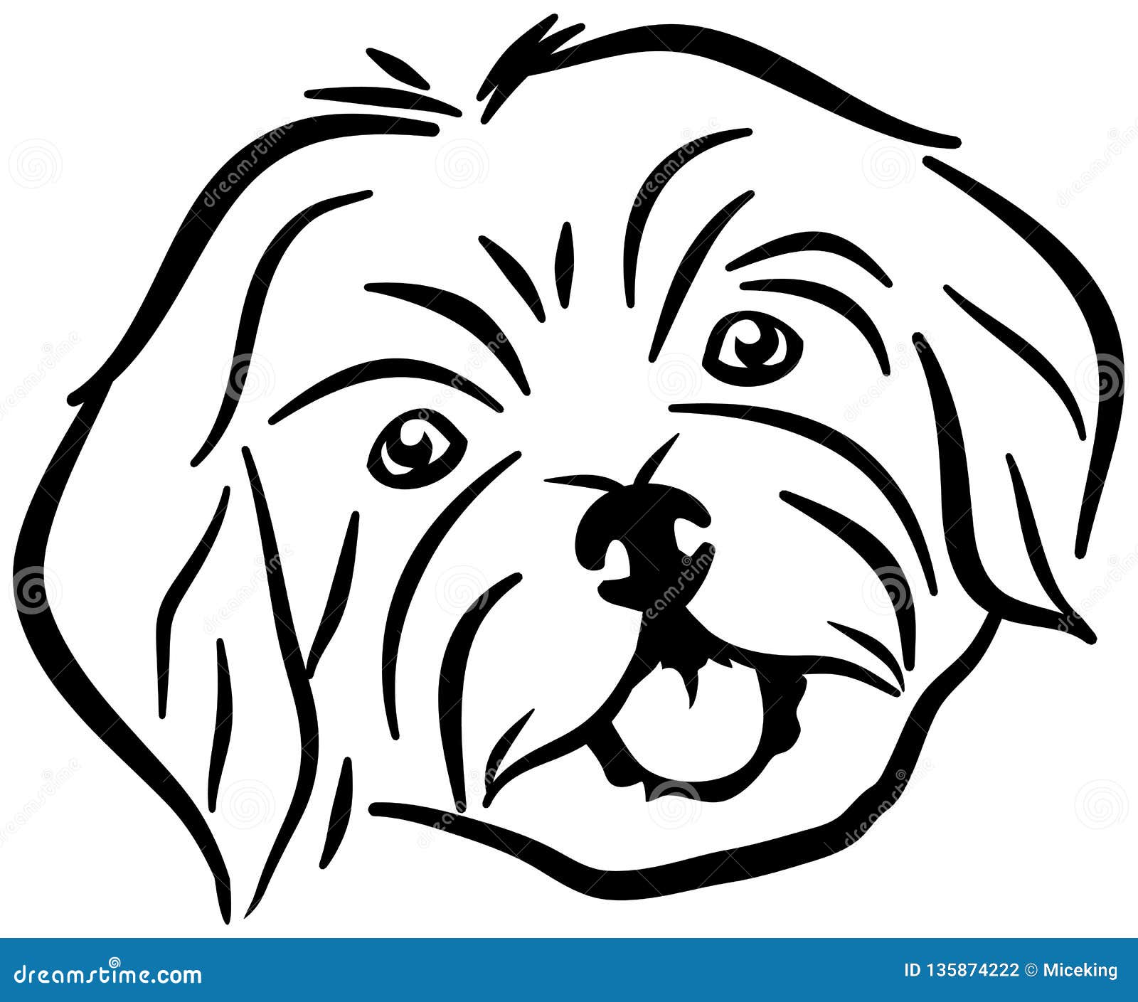 Havanese head stock vector. Illustration of canine, pictogram 135874222