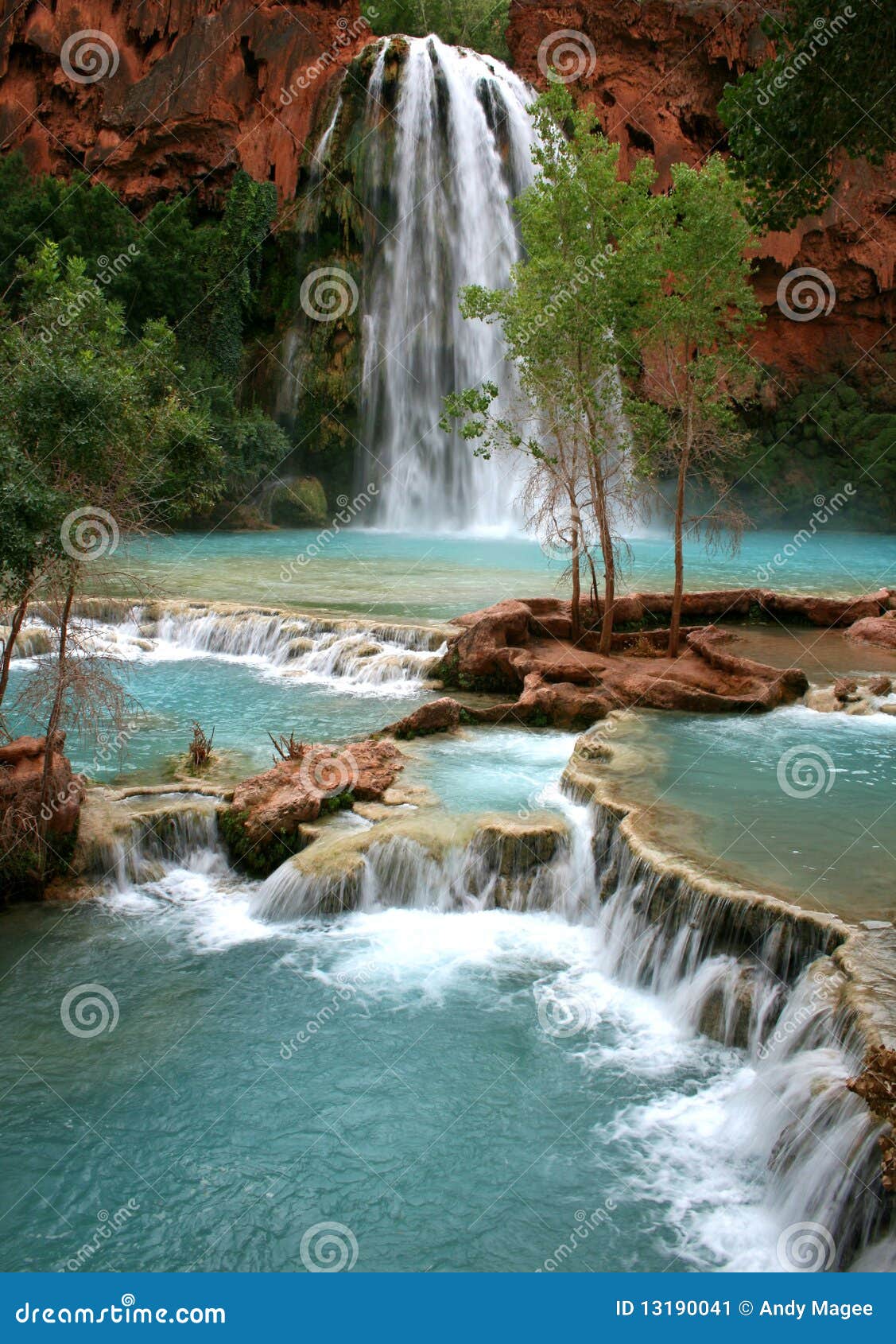 havasu falls waterfall