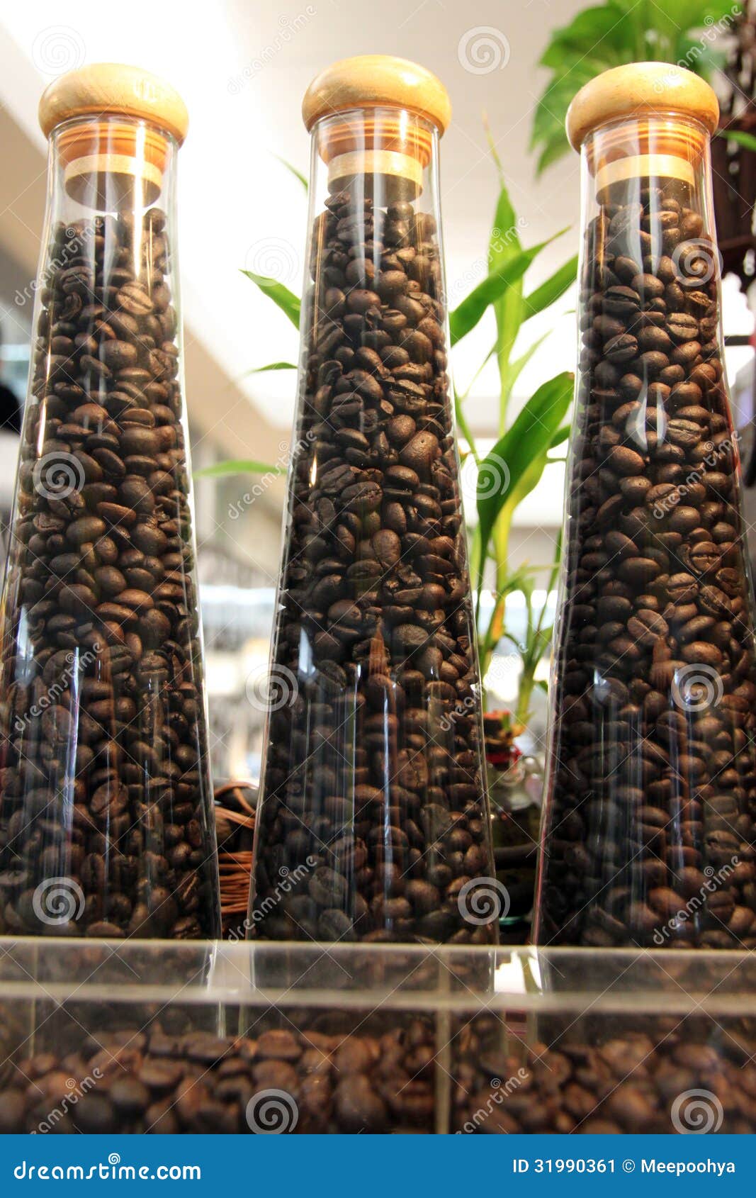 Have Not Been Grinding Coffee Beans. Stock Image Image of grinding