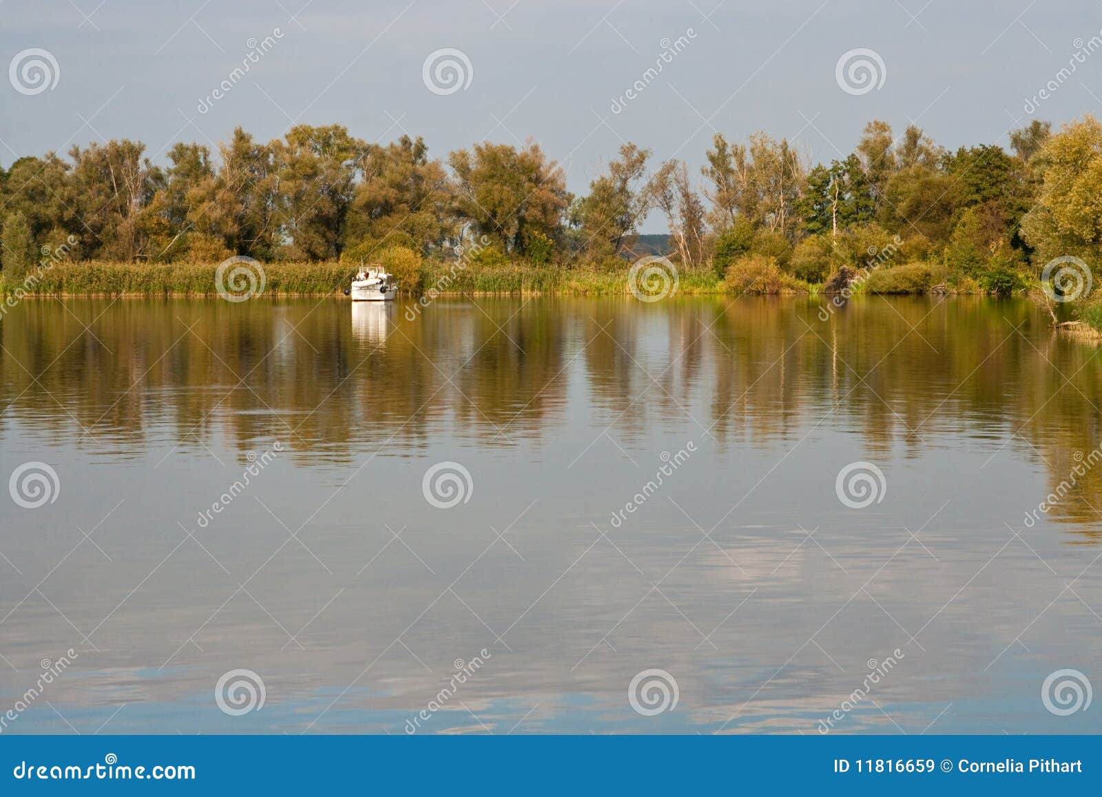 Havel in Brandenburg. Germany Stock Image Image of river, lake 11816659