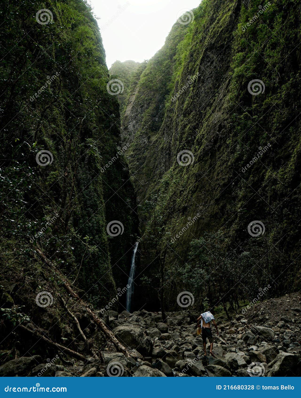 Hawai editorial stock photo. Image of falls, waterfall 216680328