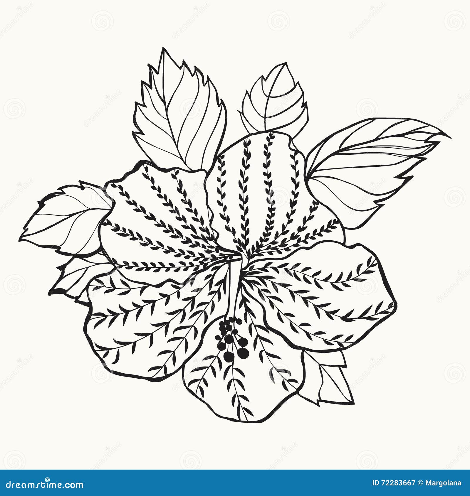 Hawaii Hibiscusblume Blattillustration Vektor Abbildung Illustration Von Hawaii Blattillustration