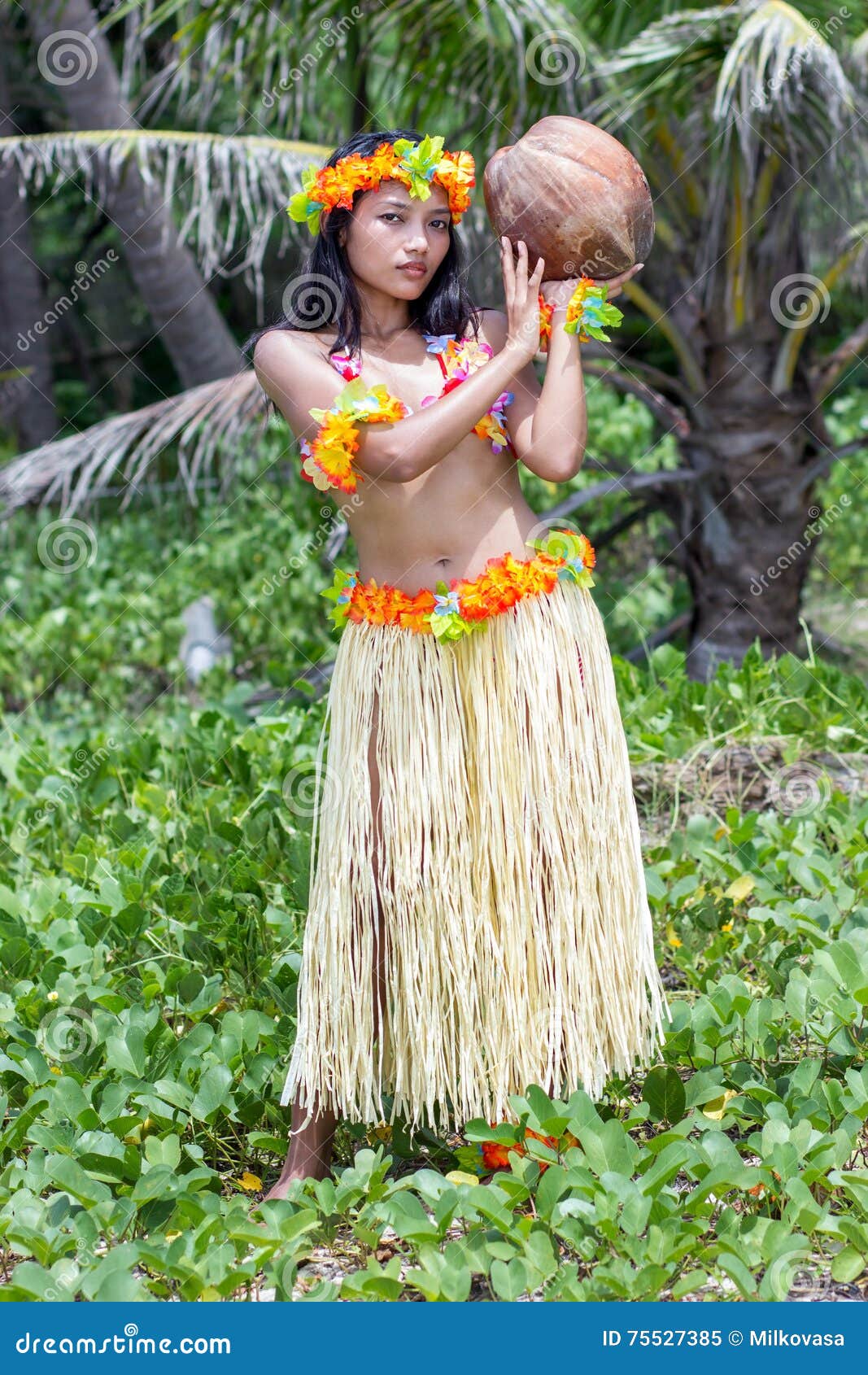 Hawaii Hula Dancer with Coconut Stock Image Image of hula, exotic