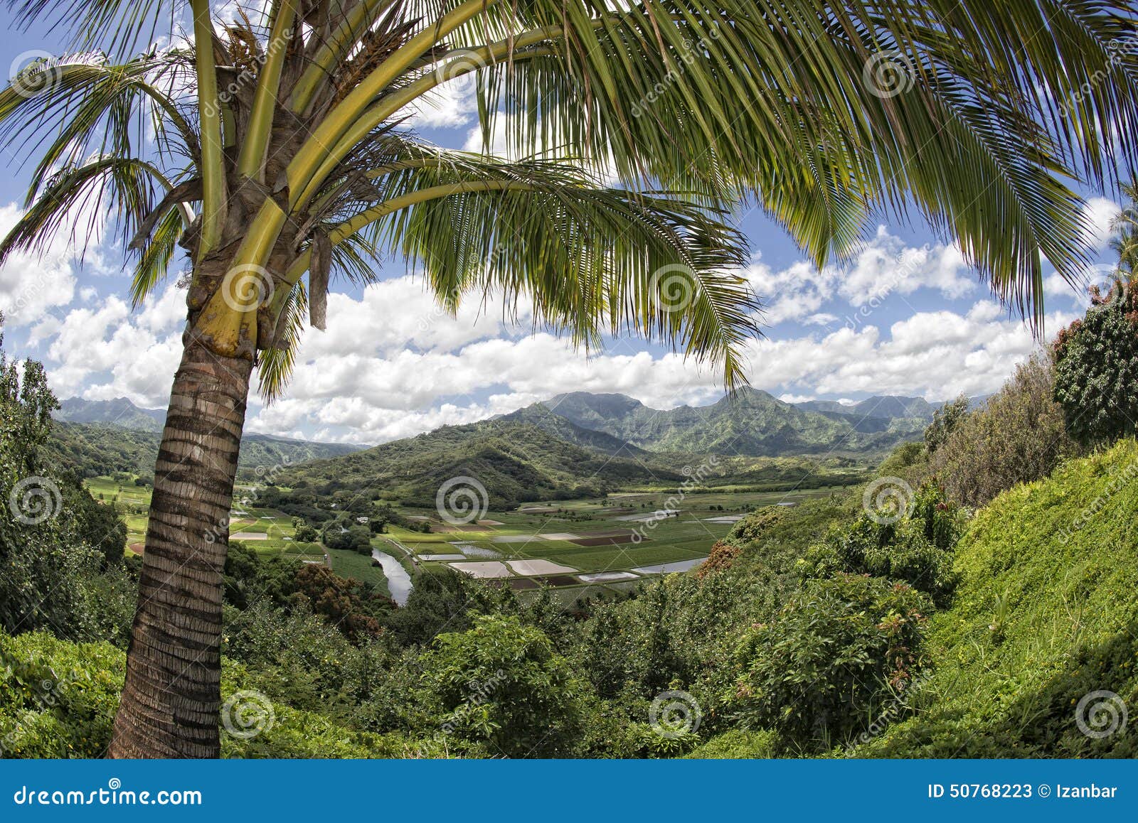 Hawaii Kauai Fields Aerial View Stock Image Image of lush, leaf 50768223