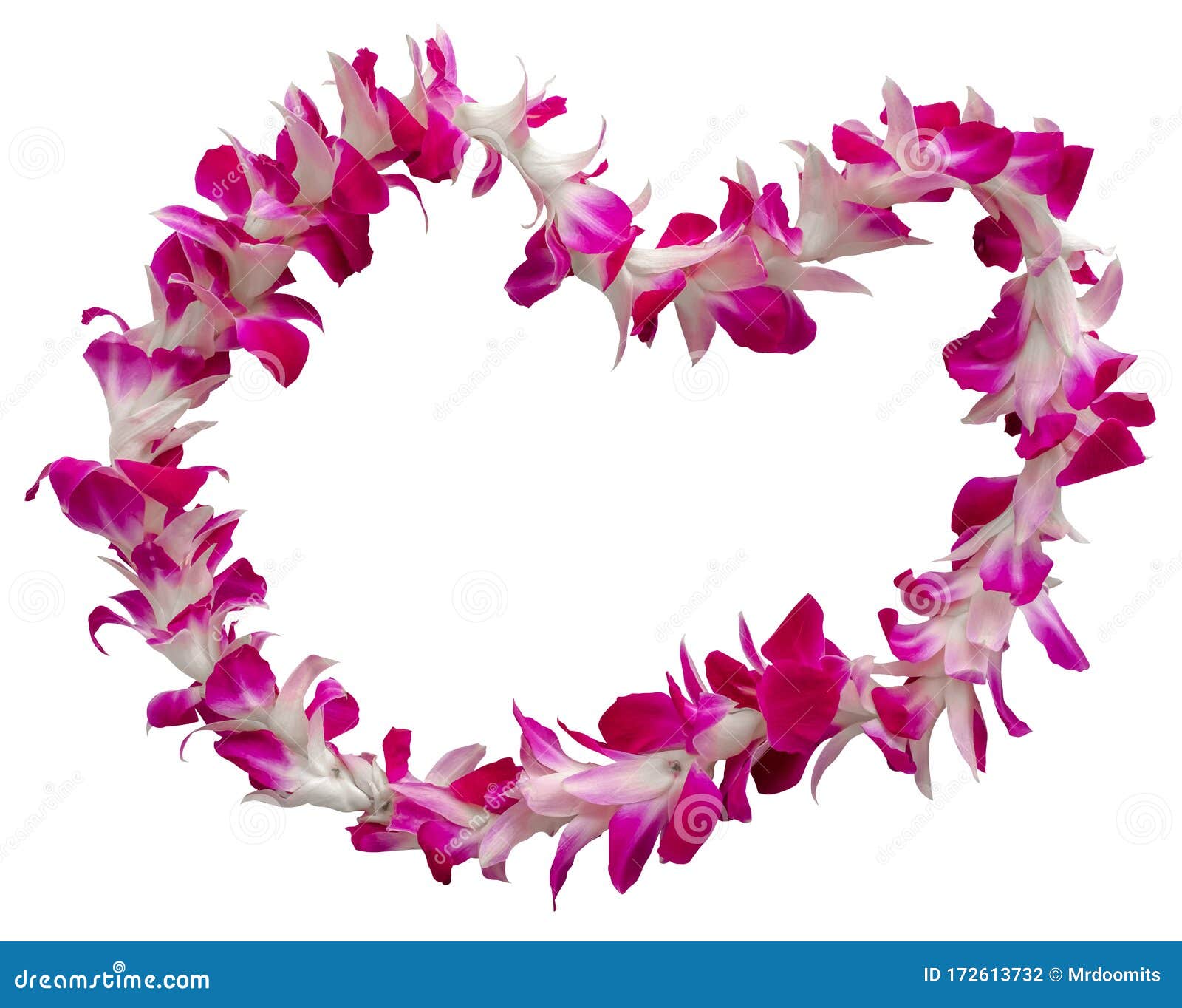 hawaii lei on a white background