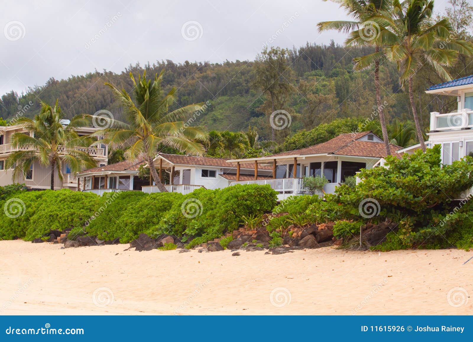 hawaiian house rentals