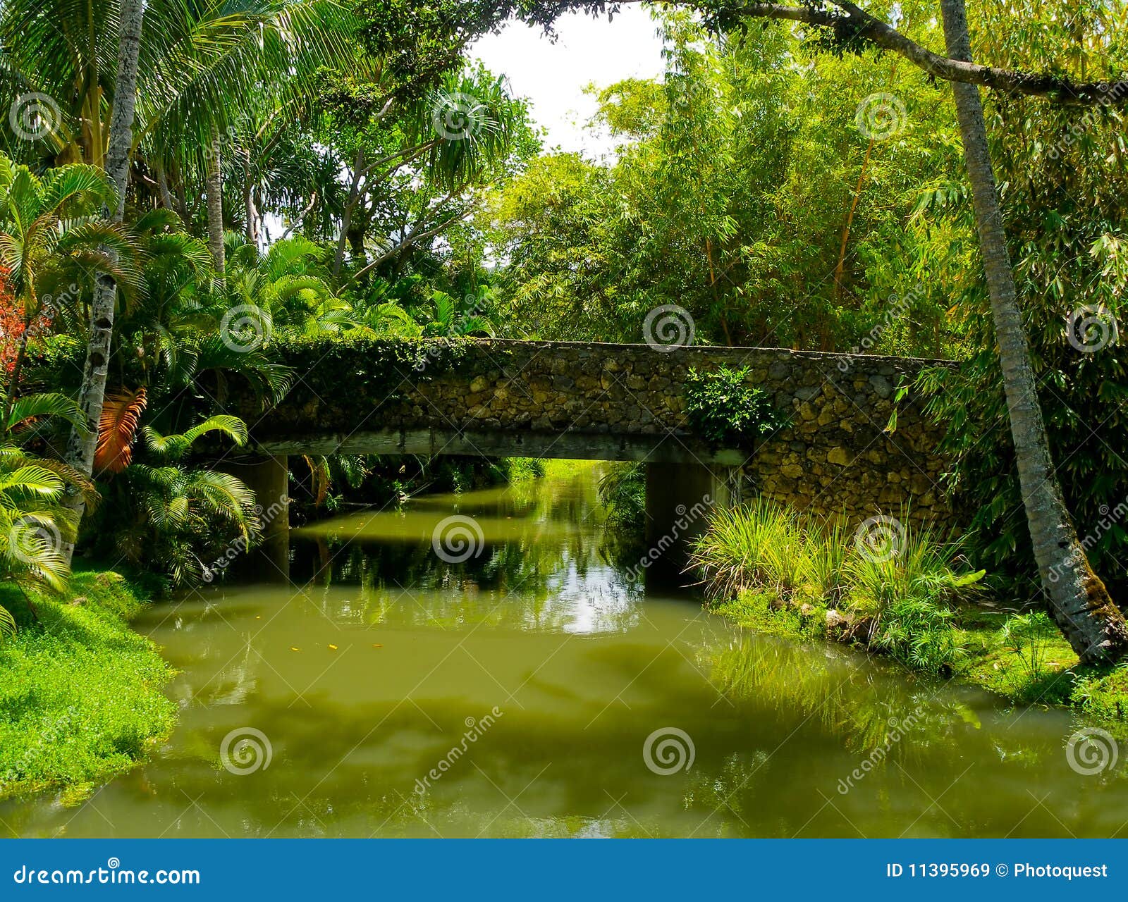 6,696 Hawaiian Jungle Stock Photos - Free & Royalty-Free Stock Photos from Dreamstime 6,696 Hawaiian Jungle Stock Photos - Free & Royalty-Free Stock Photos from Dreamstime