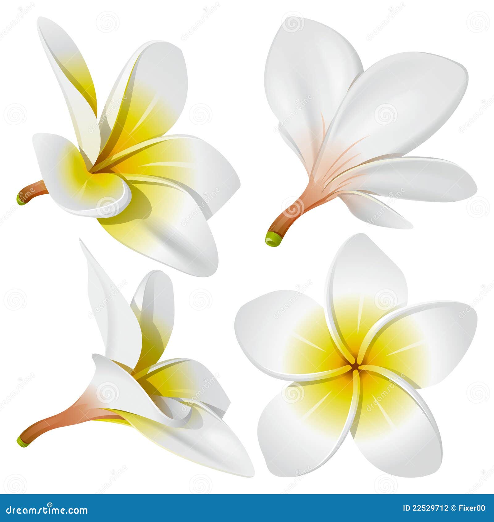 Hawaiian necklace flowers stock vector. Illustration of hawaii - 22529712