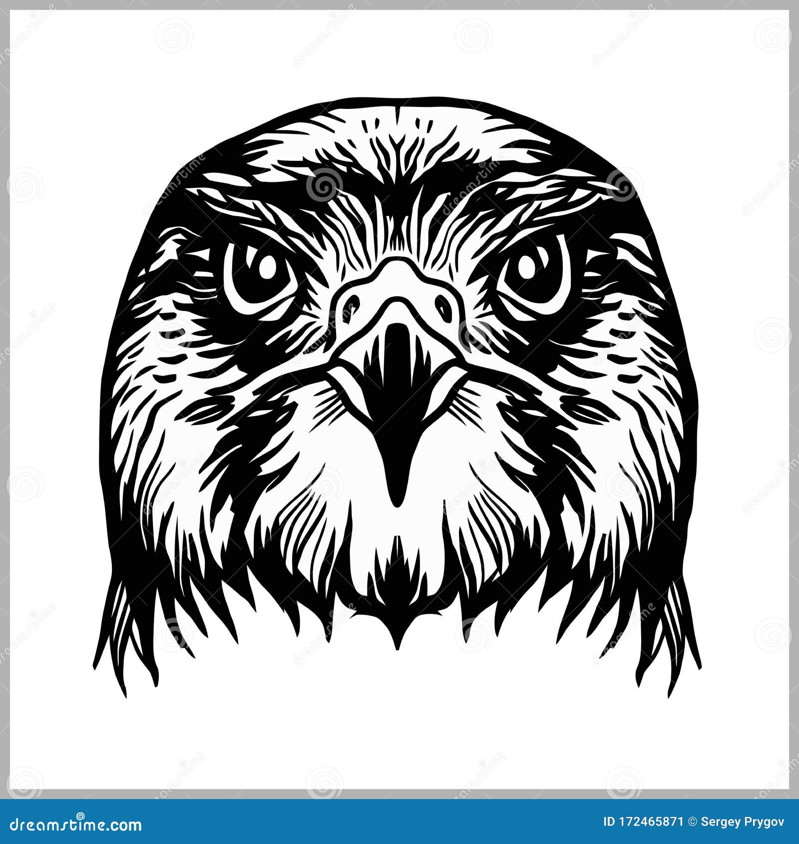 Hawk Head Mascot Vector Logo | CartoonDealer.com #88509928