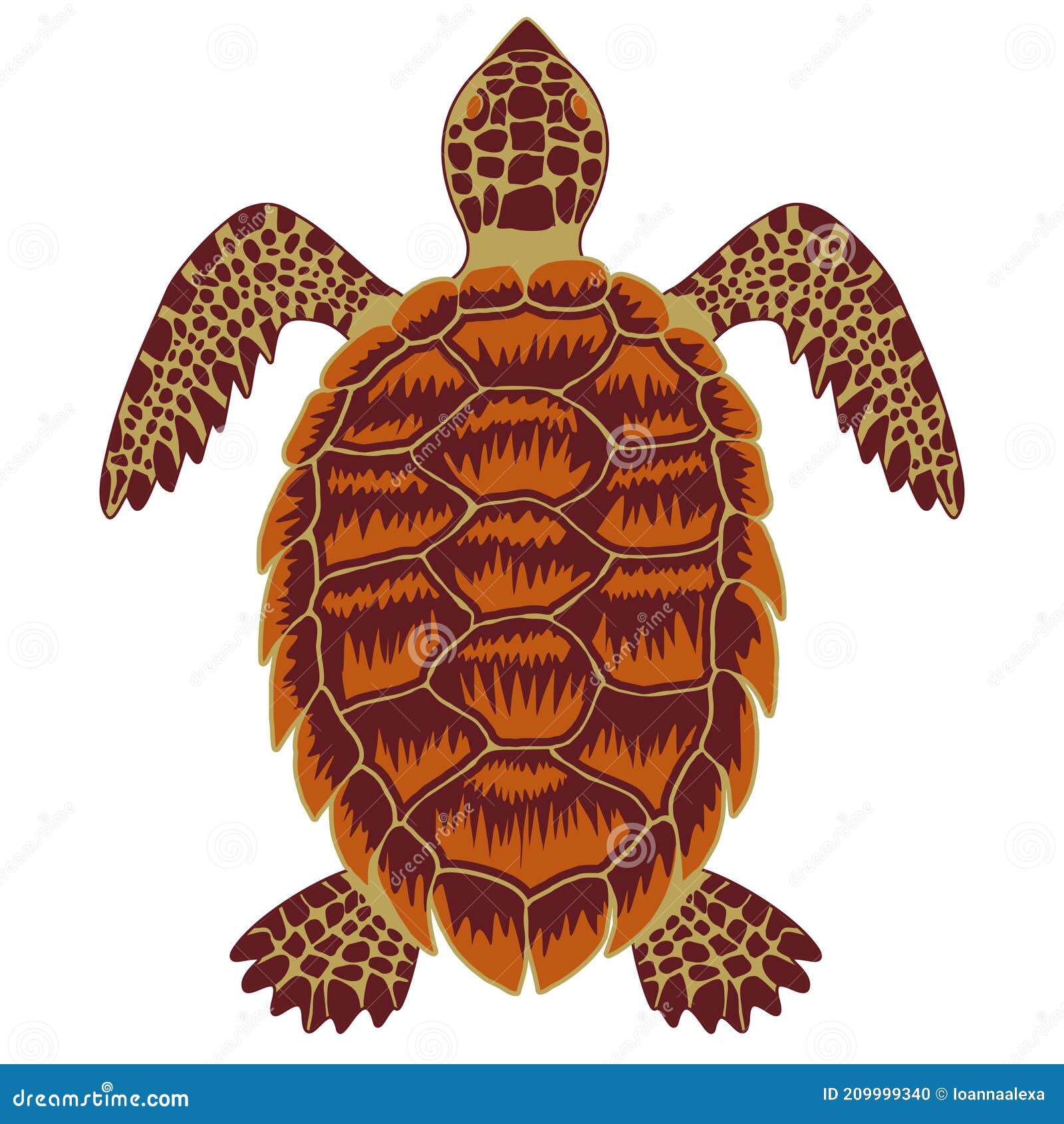 Hawksbill sea turtle