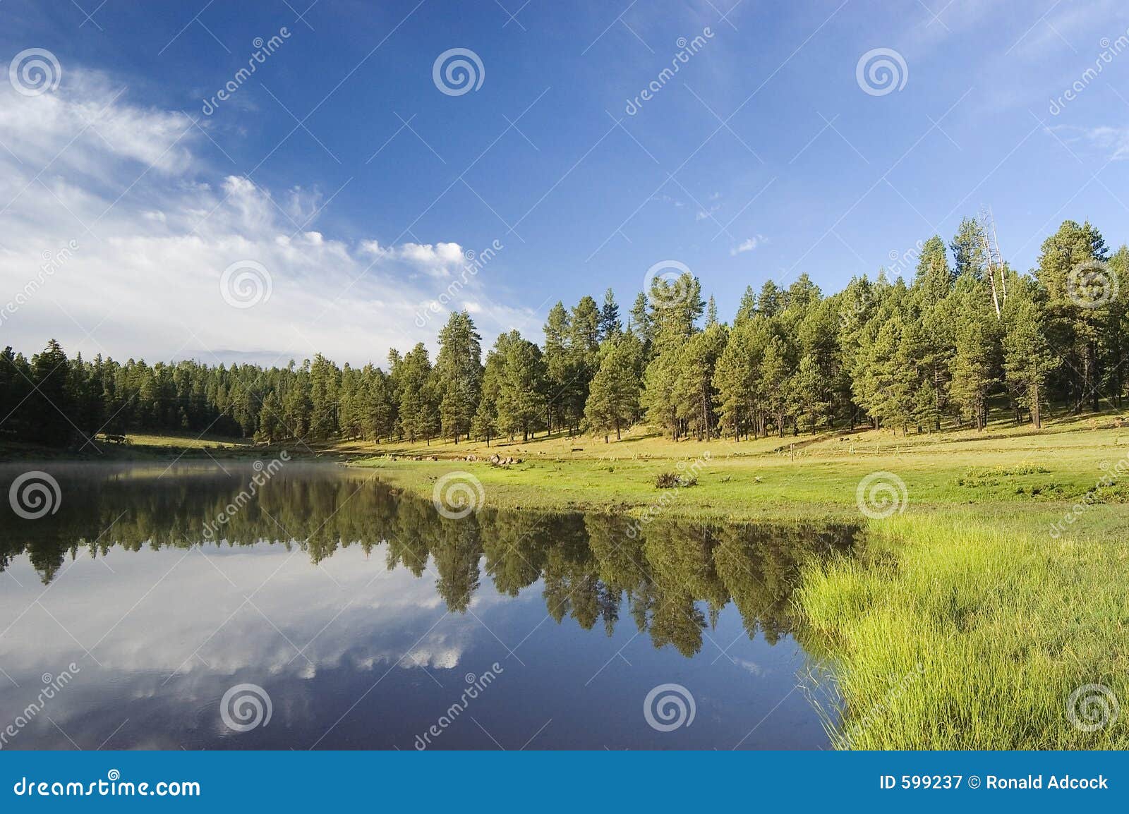 Hawley Lake Sunrise stock image. Image of northern, seasons 599237
