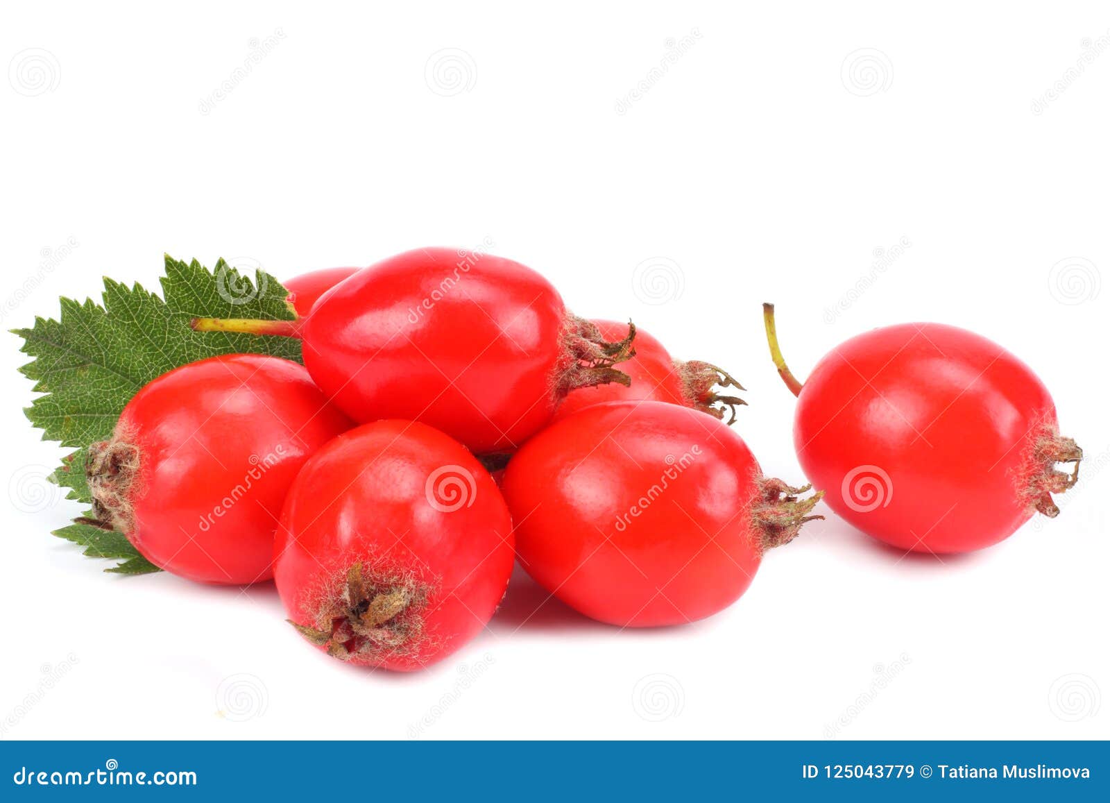 hawthorn berry  on white. clipping path