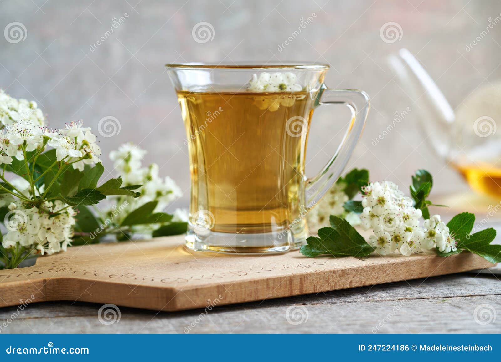 Hawthorn or Crataegus Tea in a Cup Stock Photo Image of healthy