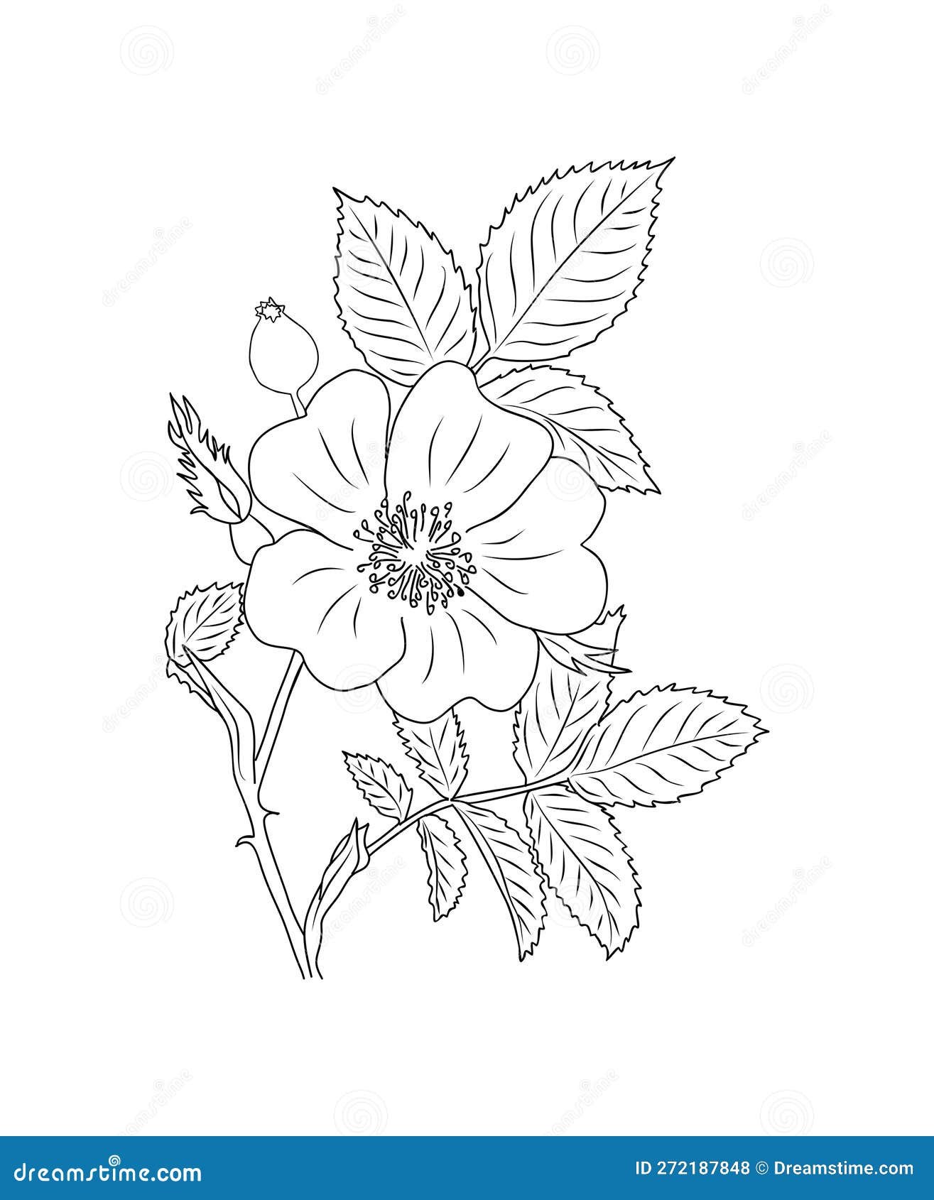 hawthorn flower tattoo  Tattoo sleeve designs Flower tattoo Sleeve  tattoos