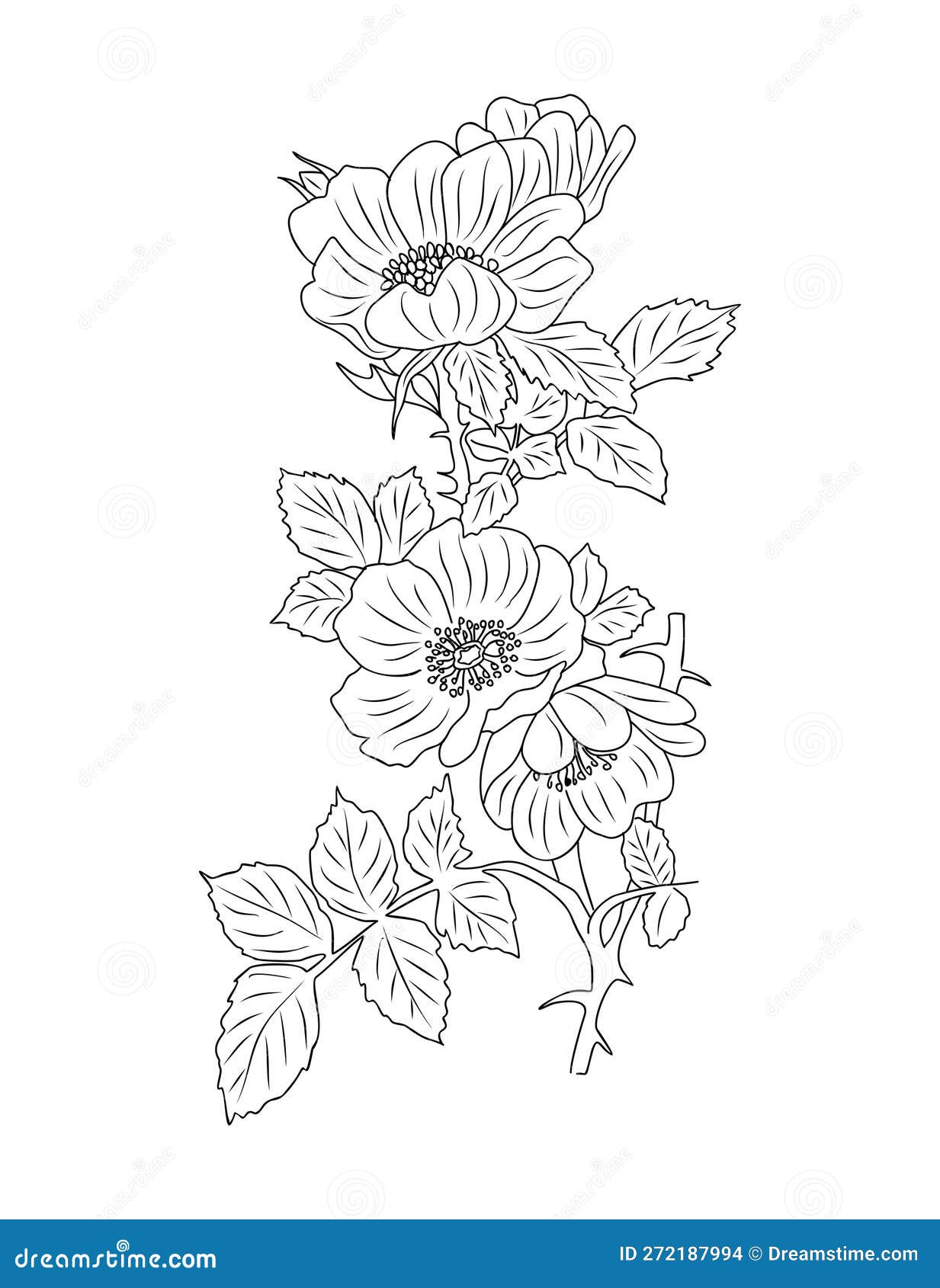 Hawthorn flower tattoo Silhouette Vector Clipart Images Pictures