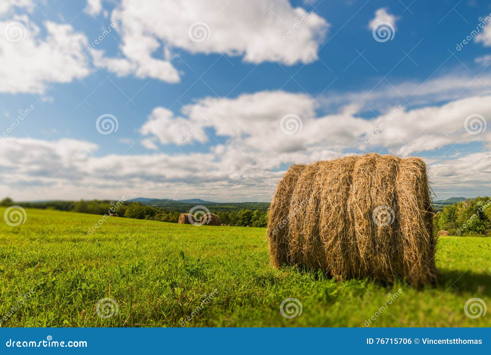 Hay stock photo. Image of provinces, long, atlantic, farming 76715706