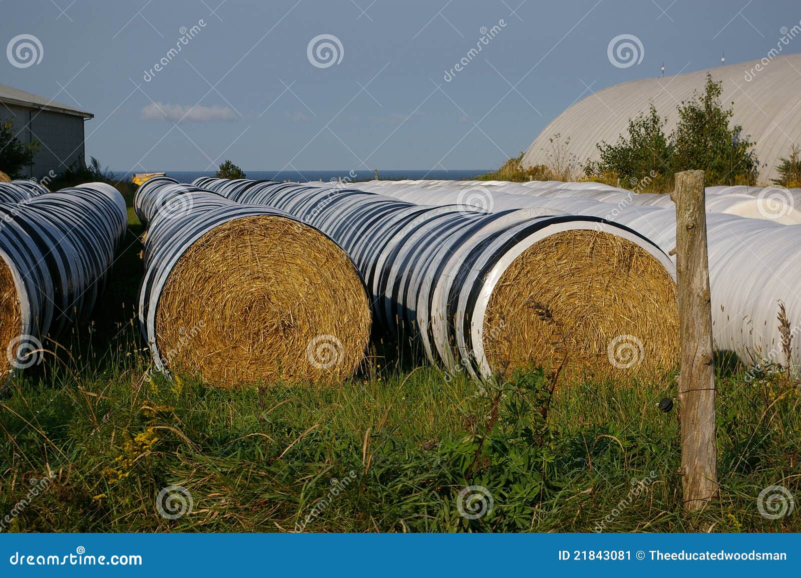 Hay bales and barn 4 stock image. Image of agriculture 21843081
