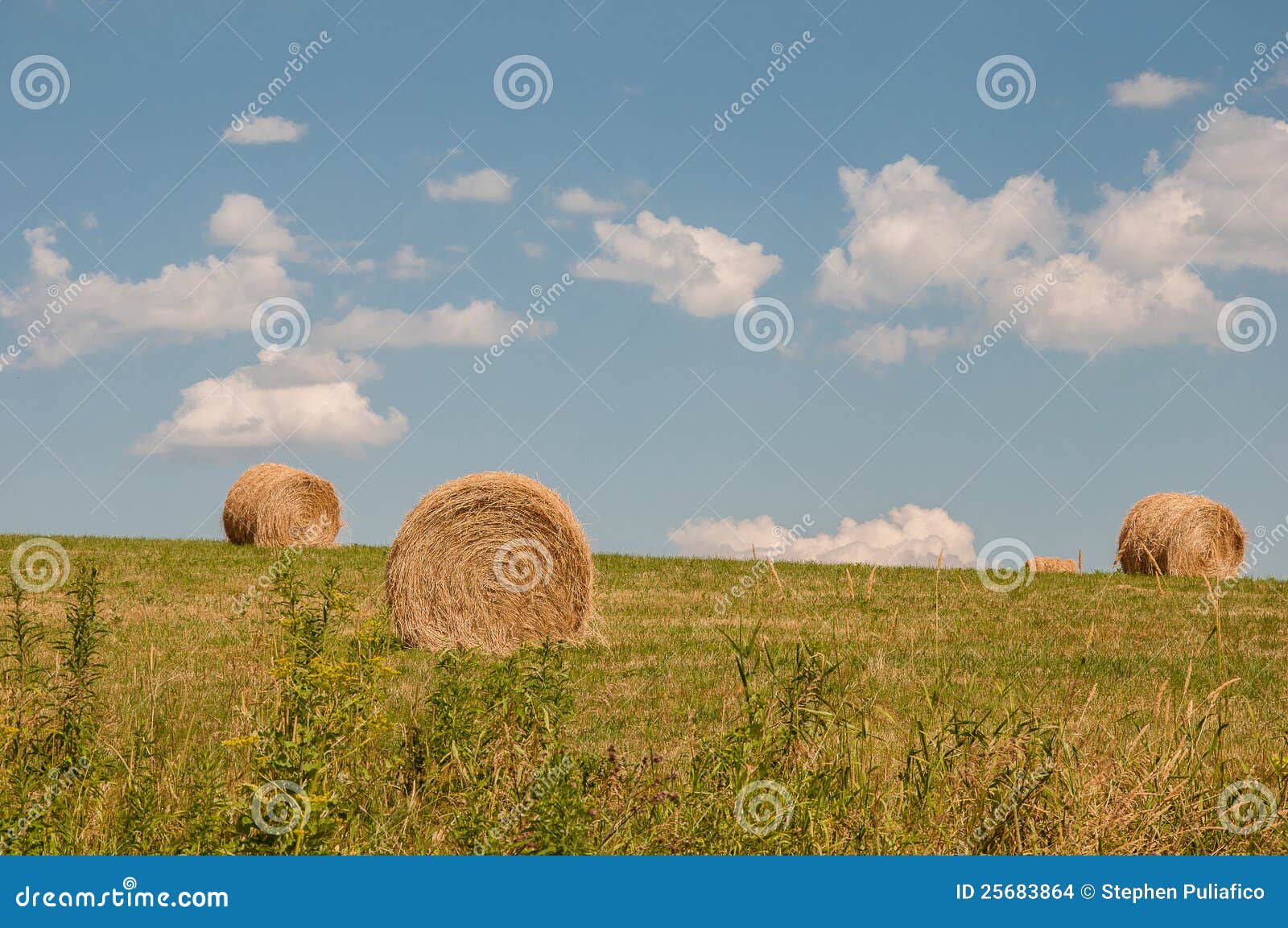 180+ Upstate New York Farm Stock Photos, Pictures & Royalty-Free