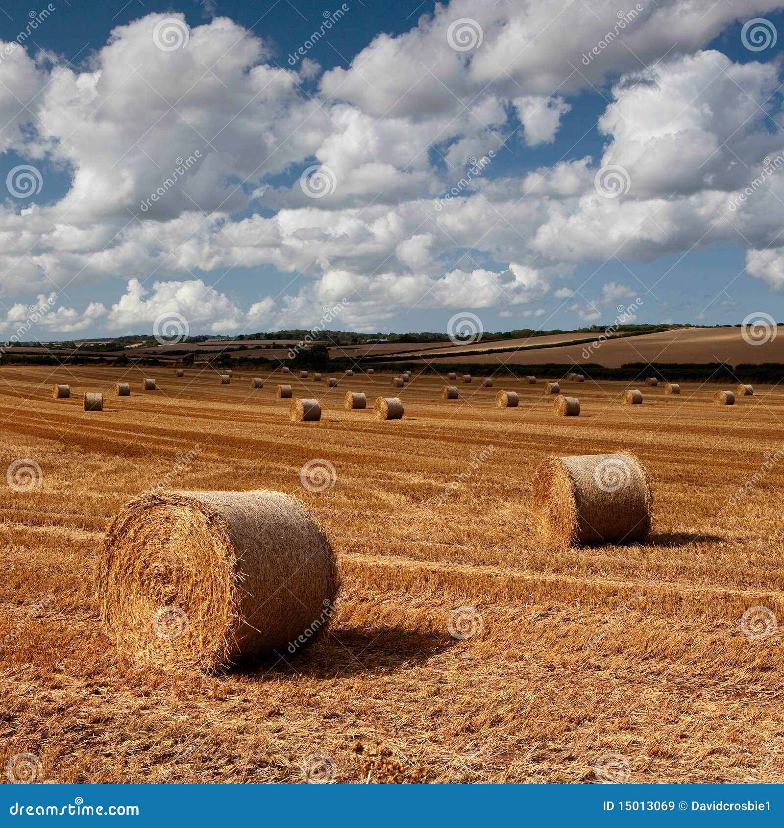 Hay bales, Dorset, UK stock image. Image of andrew, english 15013069
