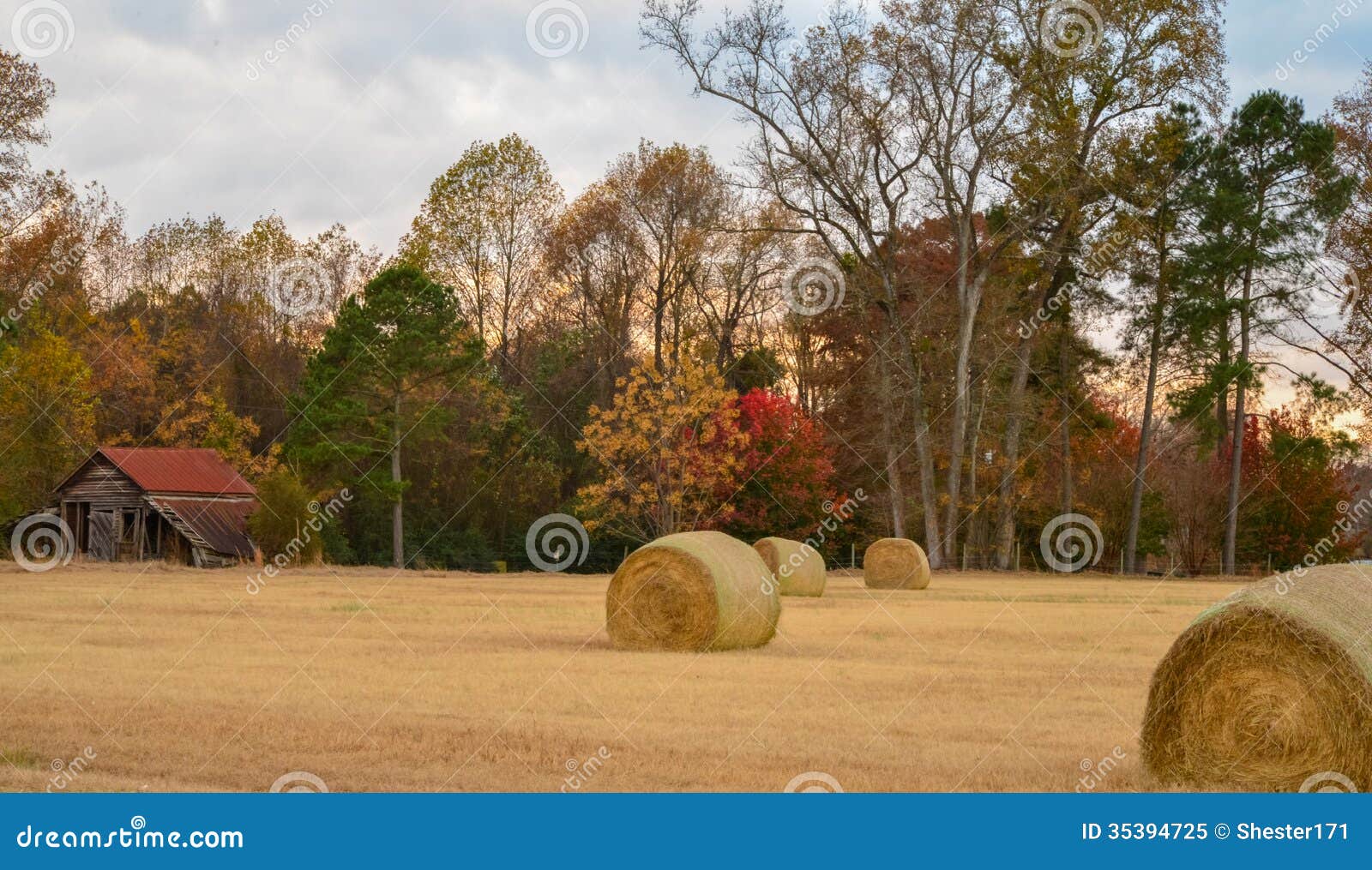 Hay bales and old barn stock image. Image of farm, bales 35394725