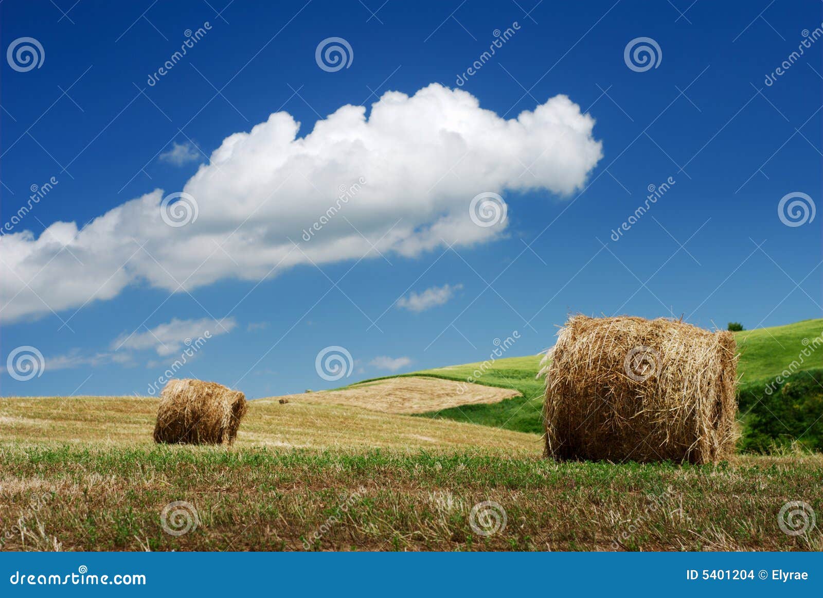 Hay Bales Over the Hillside Stock Photo Image of country, agriculture