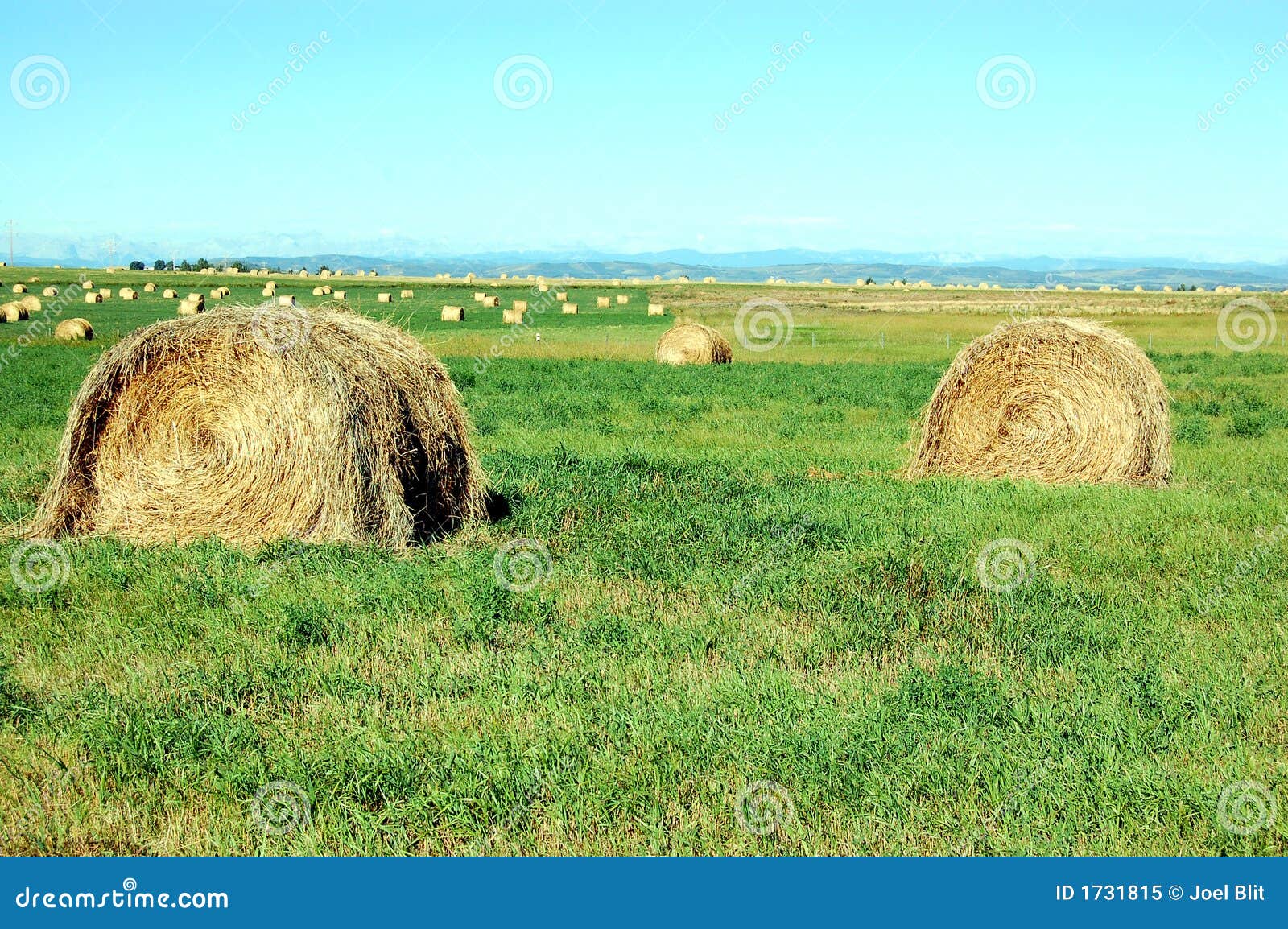 hay bales in the prairies