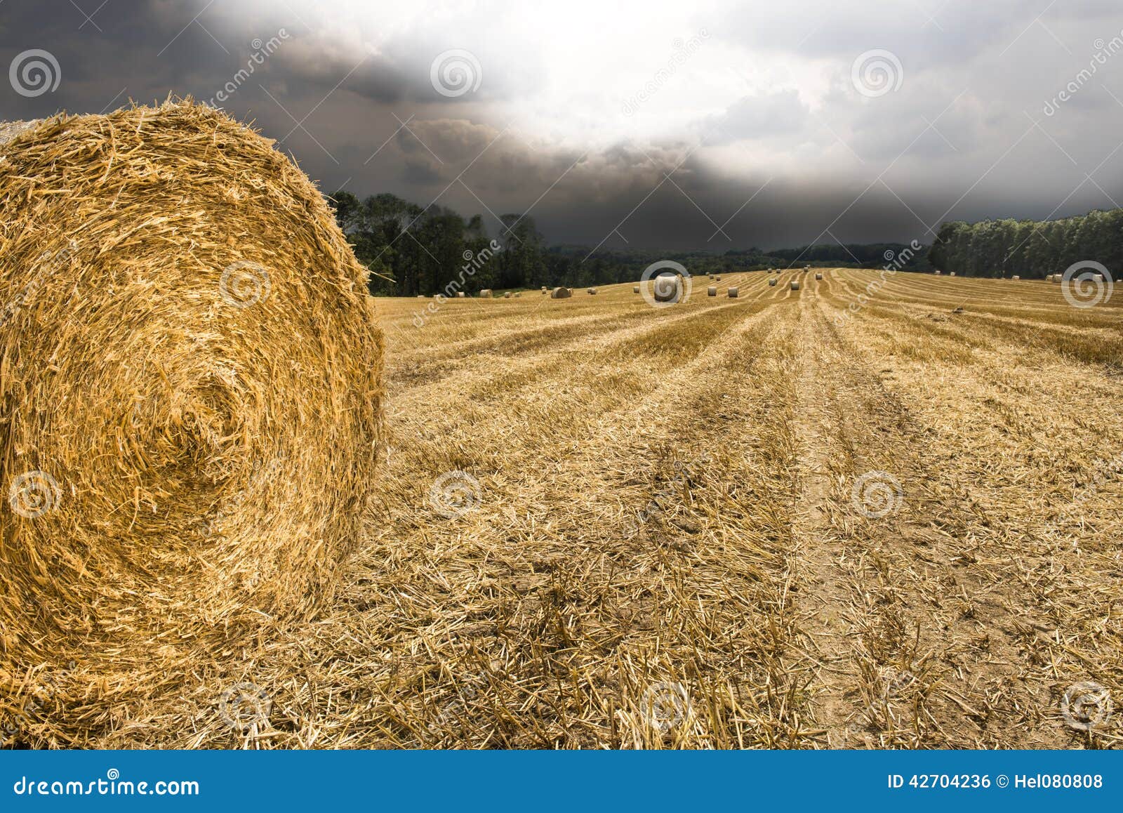Hay bale ready, rain comes stock photo. Image of stubble 42704236