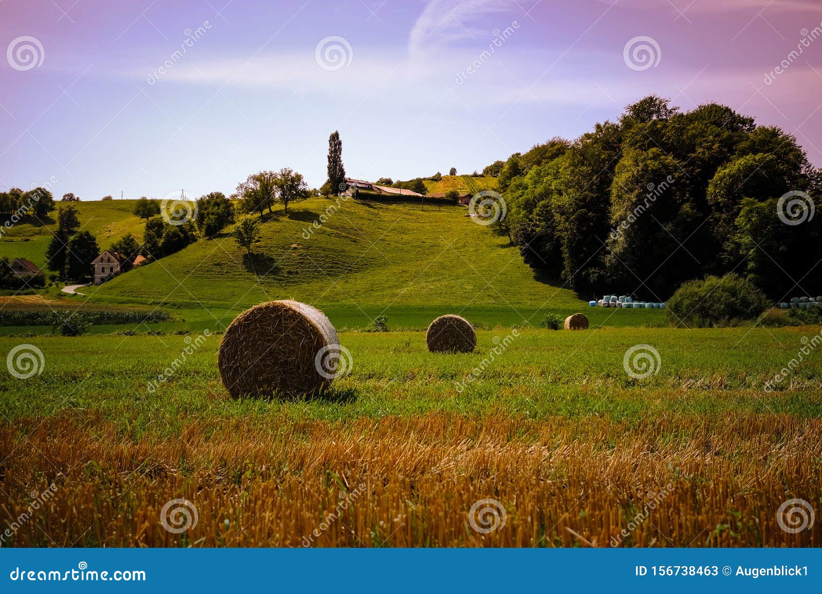 Hay Bales stock image. Image of synonyms, rich, summer 156738463