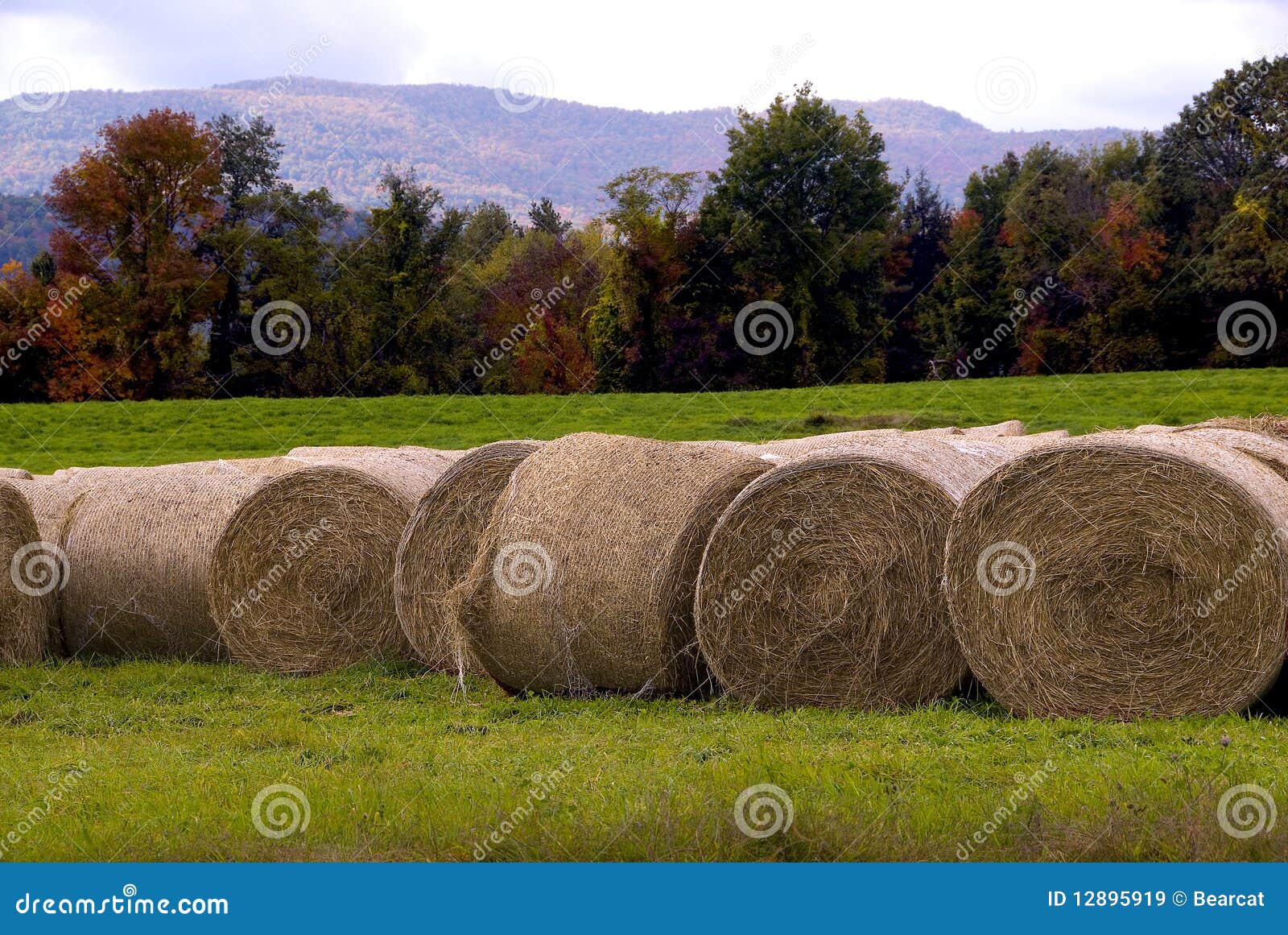 Hay Bales in Vermont stock image. Image of agriculture 12895919