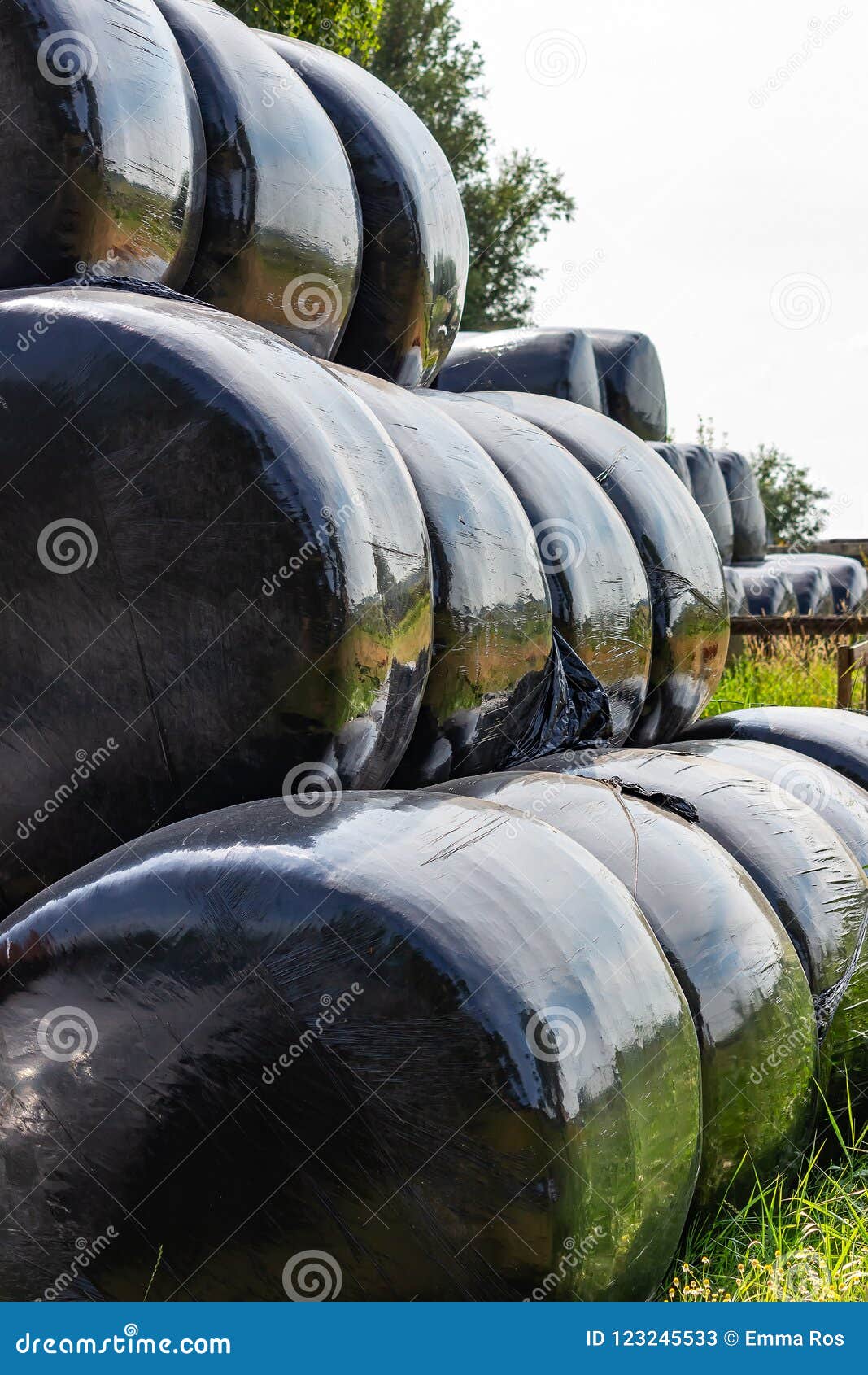 hay bales wrapped in black plastic near zoetermeer, netherlands