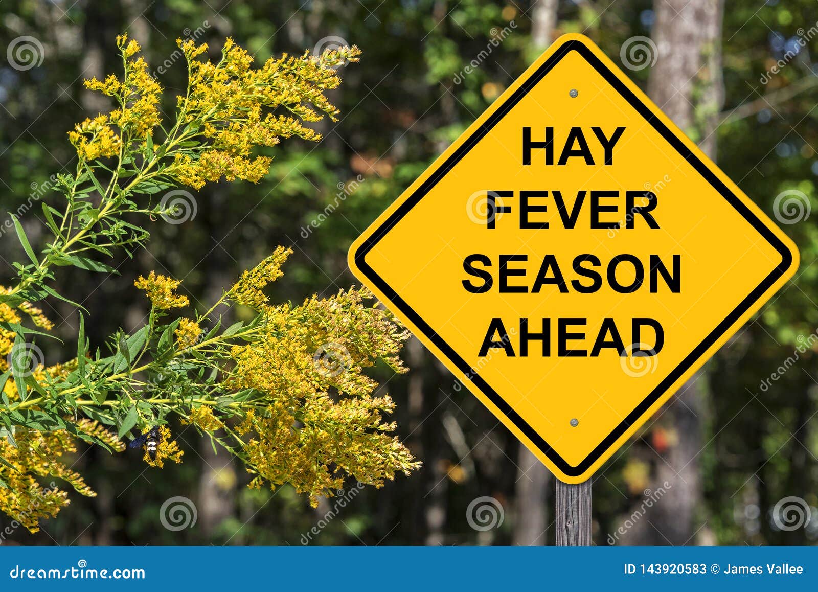 hay fever season ahead warning sign