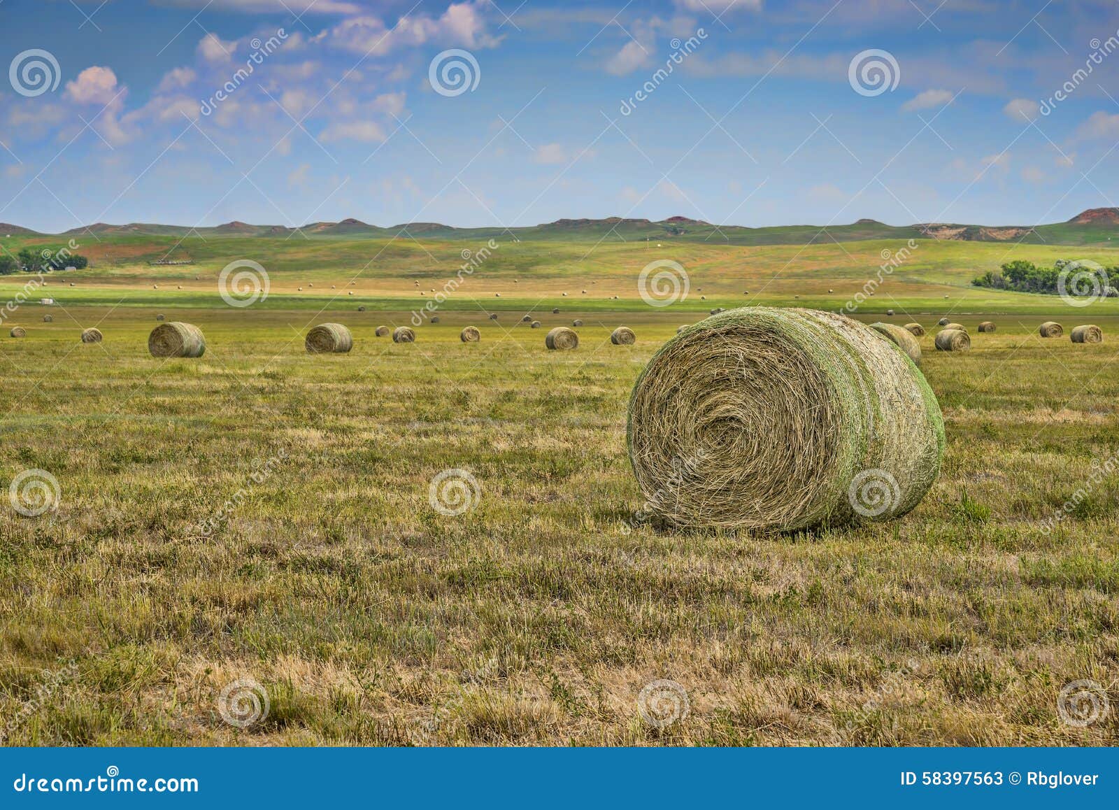 Hay field, Wyoming stock image. Image of scenic, travel 58397563