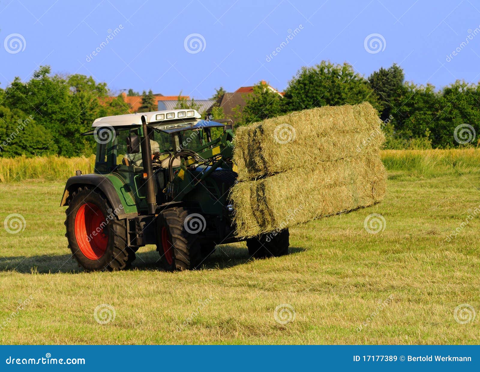 Hay harvest stock image. Image of green, rural, farming 17177389