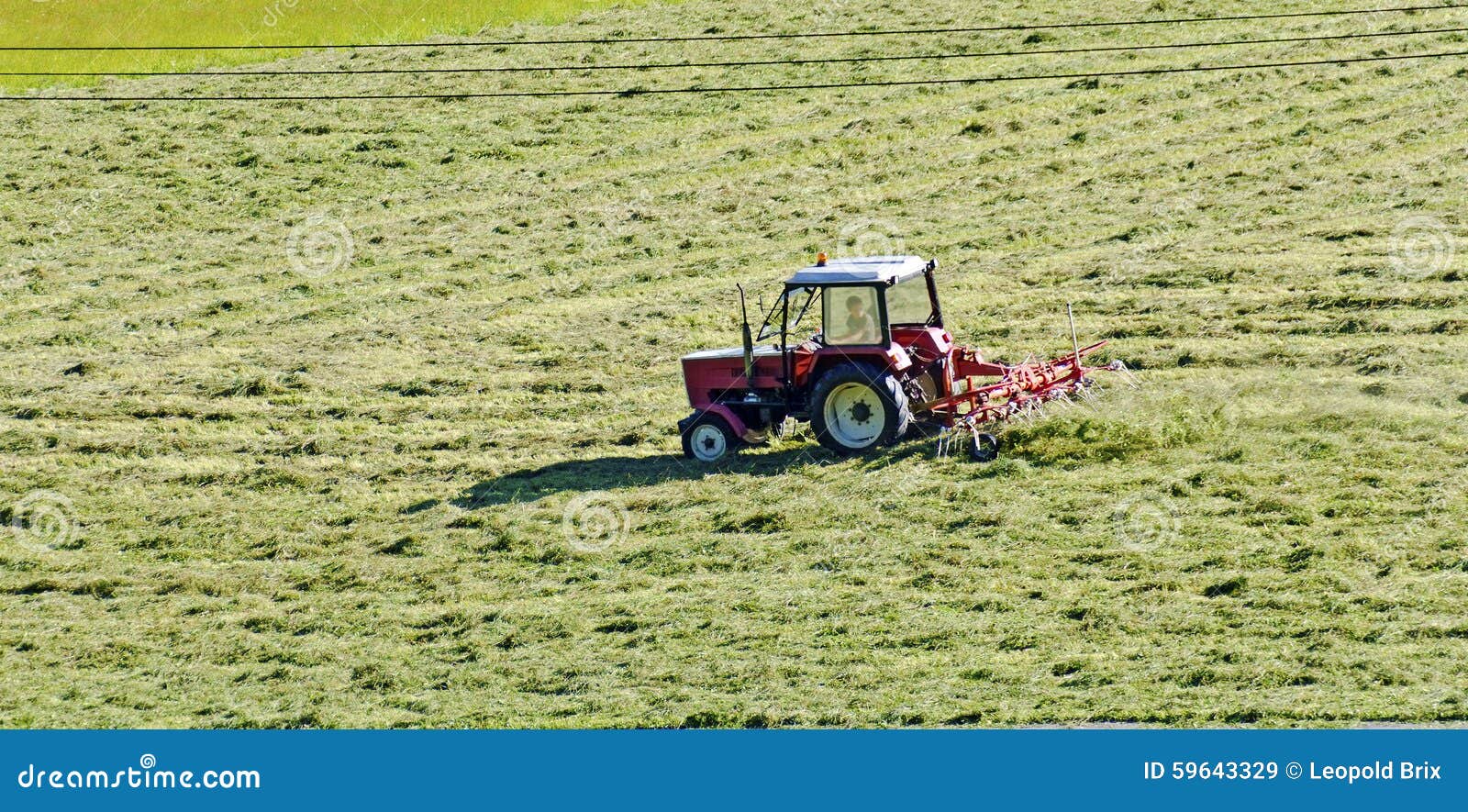 Hay harvest stock image. Image of haymaking, haying, turning 59643329