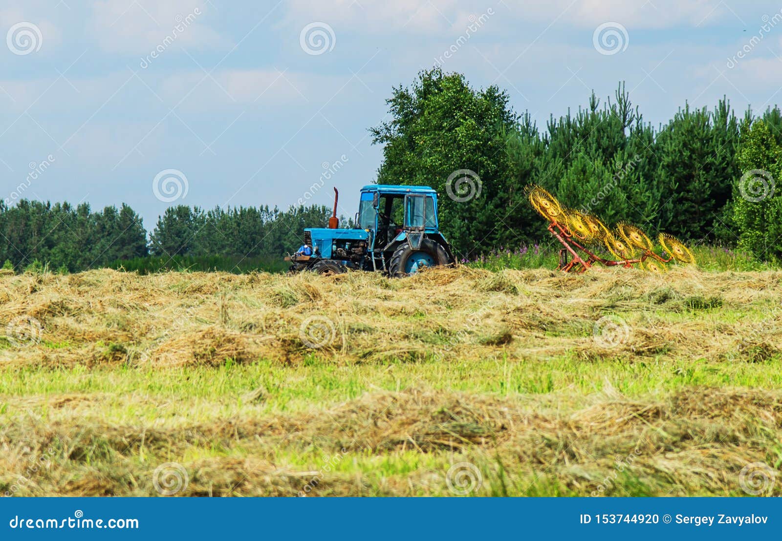 Hay Harvesting with the Help of Special Equipment Stock Photo Image of rotary, rural 153744920