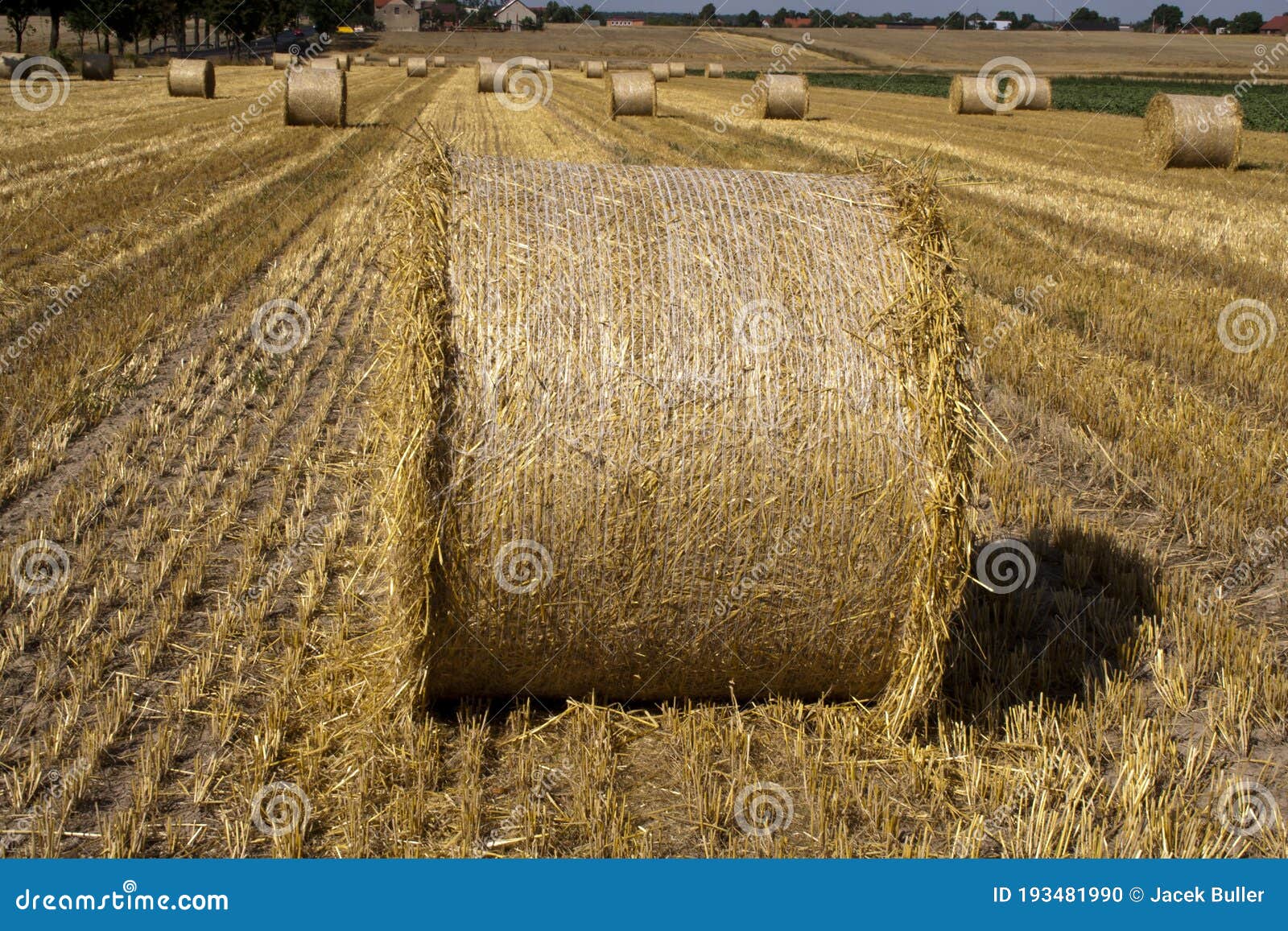 Hay Large Bales Round Bales Are Harder To Handle Than Square Bales But