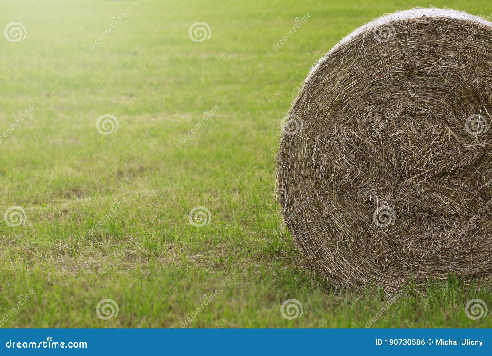 hay pack in a cut meadow. detail and place to describe