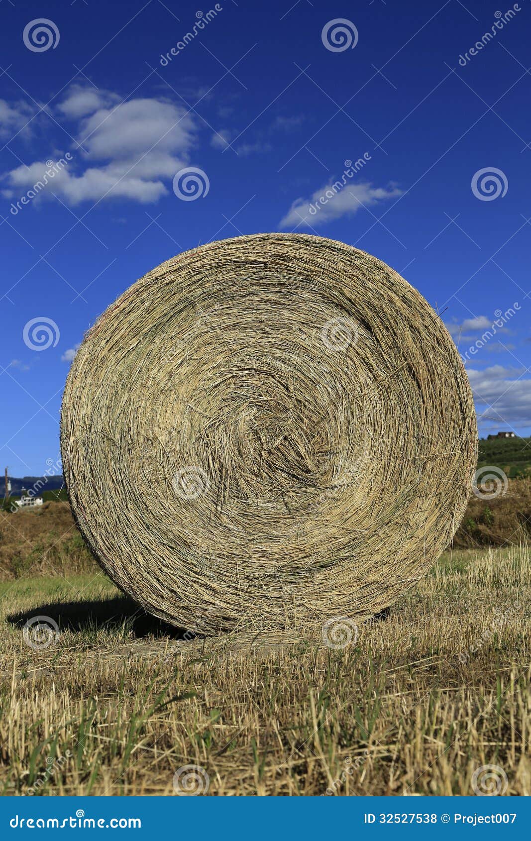 Hay Rolls stock photo. Image of bedding, animals, cereal 32527538