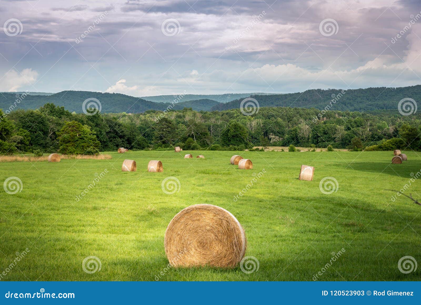Hay Bales in North Mountains Stock Image Image of farm