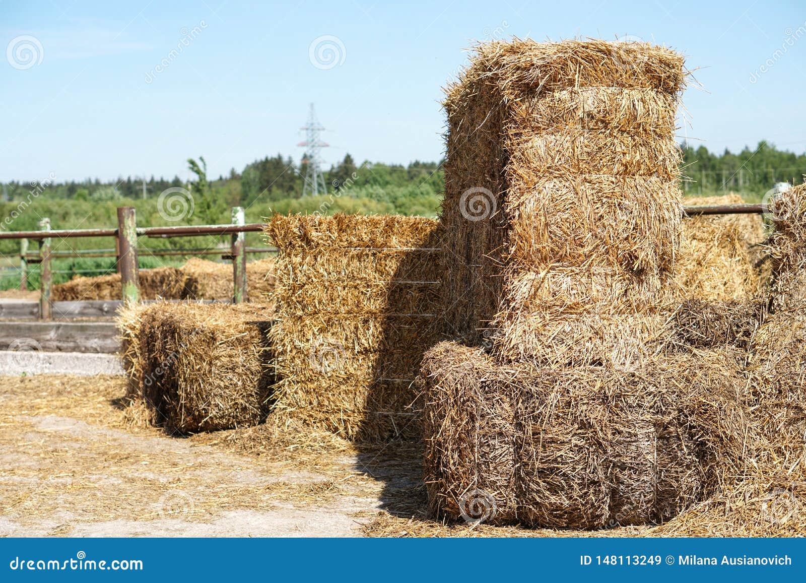 Hay Stacks for Feeding Animals on Nature Background Stock Image Image of background