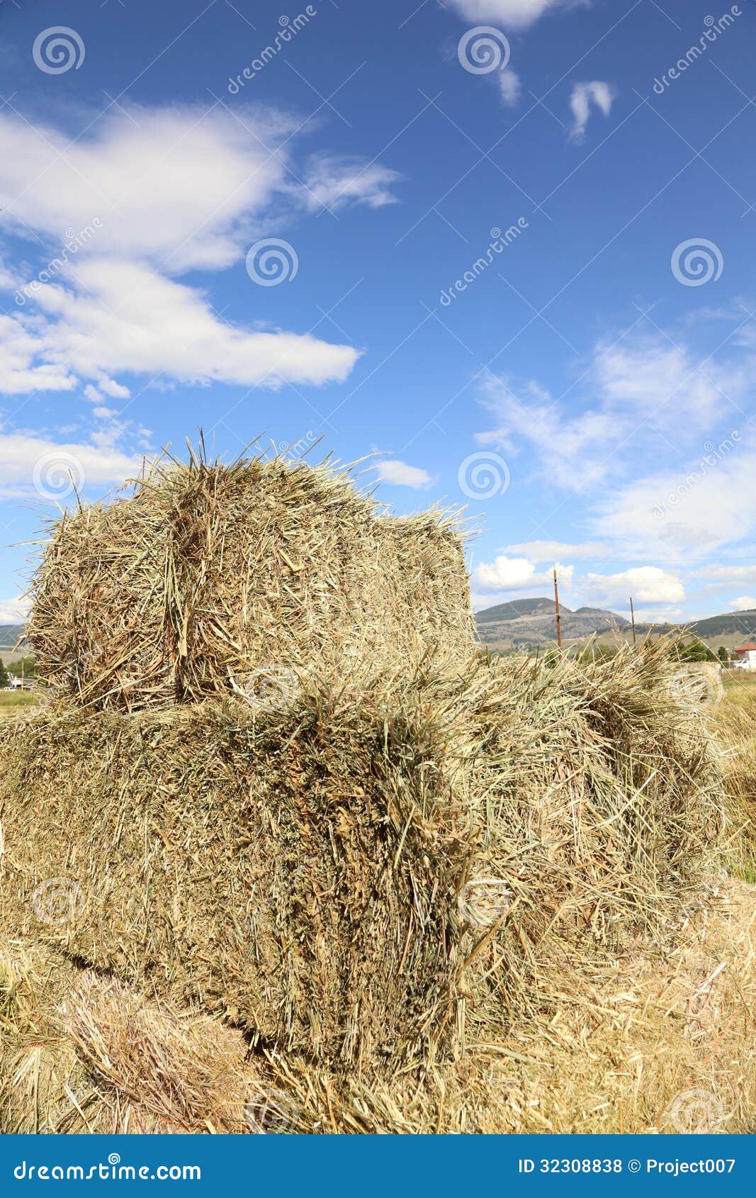 Hay stock photo. Image of agriculture, chaff, blue, dried 32308838