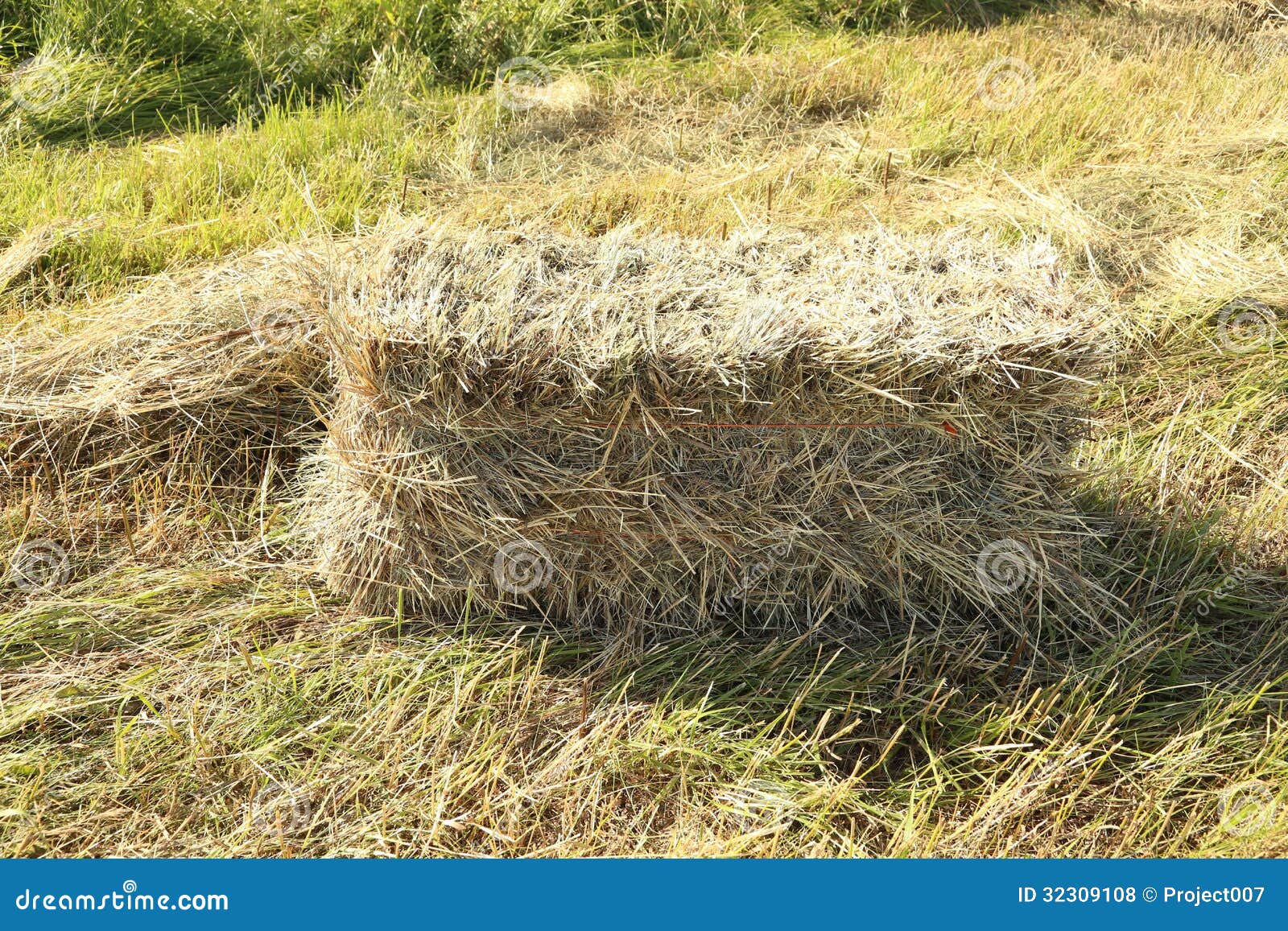 Hay stock photo. Image of export, blue, haymaking, grass 32309108