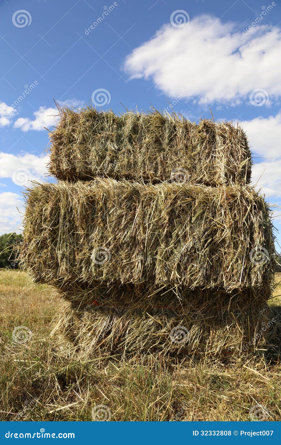 Hay stock photo. Image of bundle, farmland, hayloft, animals 32332808