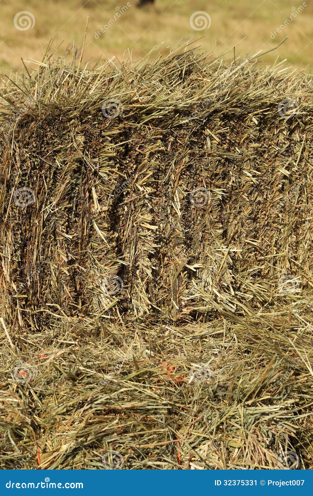 Hay stock image. Image of farming, hayrick, haystack 32375331