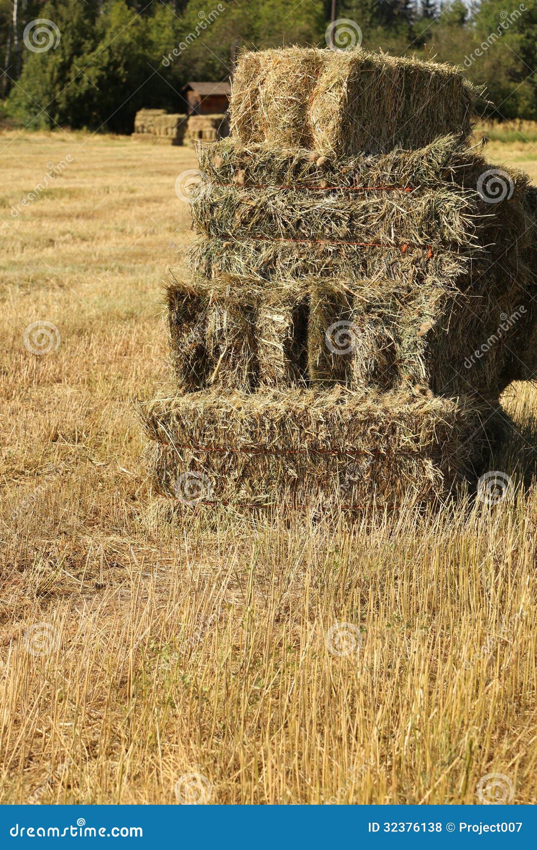 Hay stock photo. Image of barn, blue, hayrick, bales 32376138
