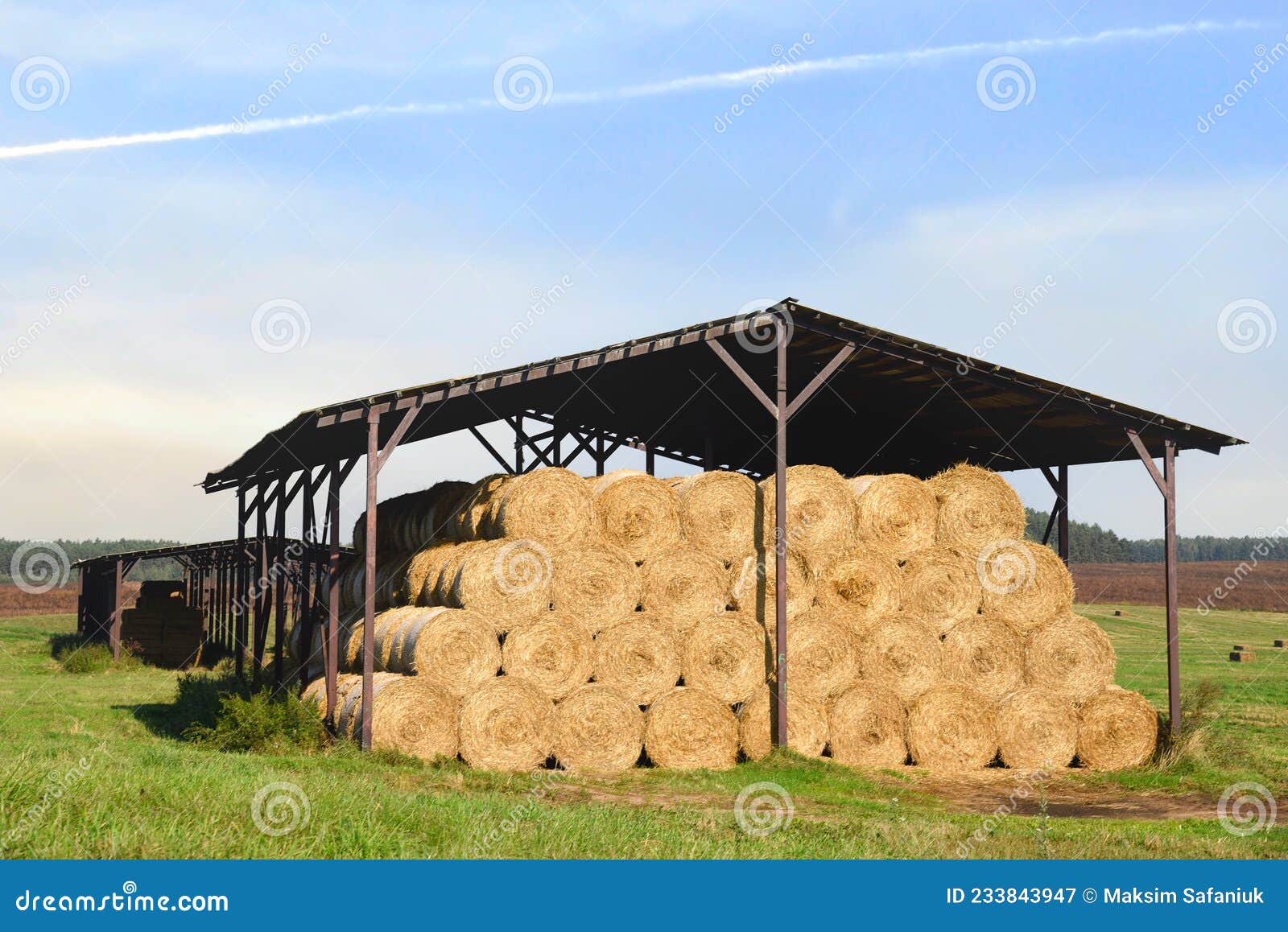 Hay Storage Barn in Field Near Farm. Haystacks Prepared for Animal Feed in  Winter. Stacks Dry Hay in Hangar Storage Stock Image - Image of haystacks,  animal: 233843947
